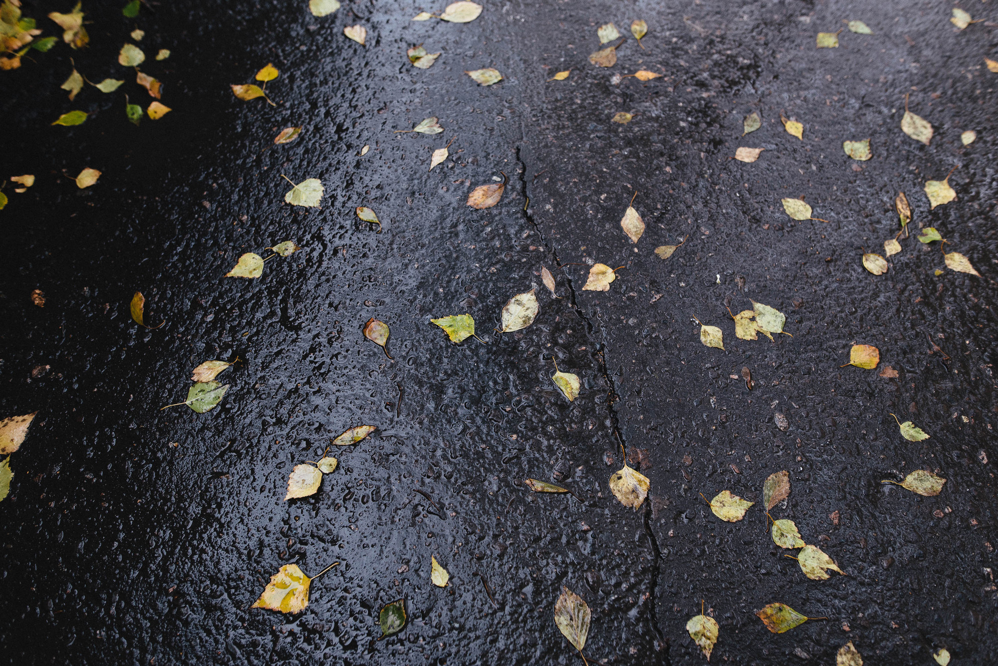 Friends. Свадебный и семейный фотограф Тамбов