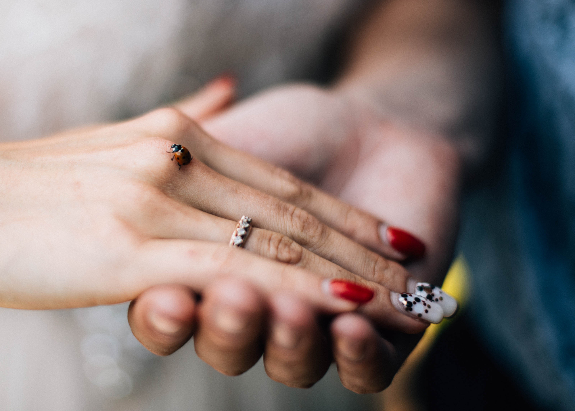 Лера и Артем. Свадебный и семейный фотограф Тамбов