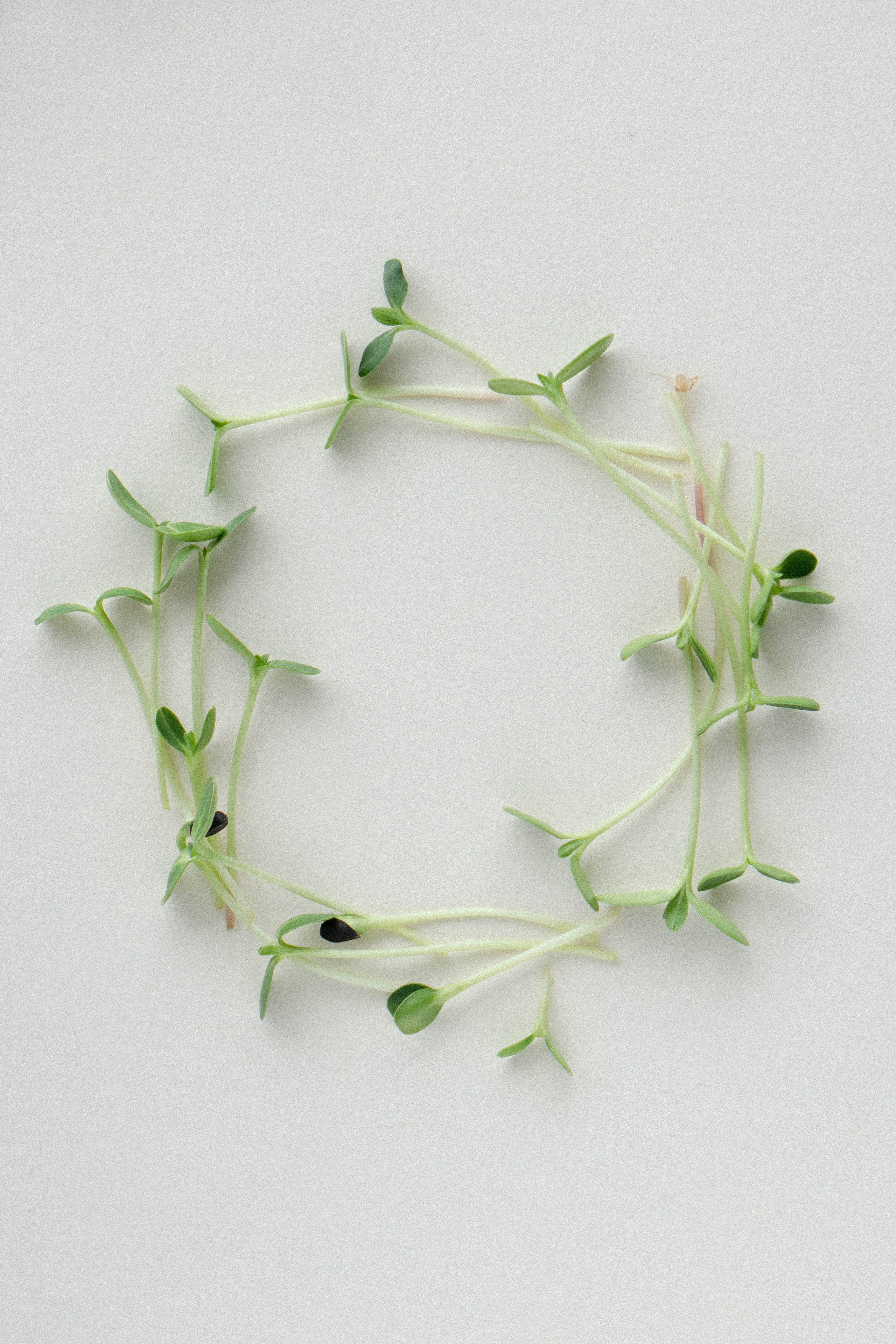 Предметная съемка. Видеограф Зинченко Татьяна г. Пермь