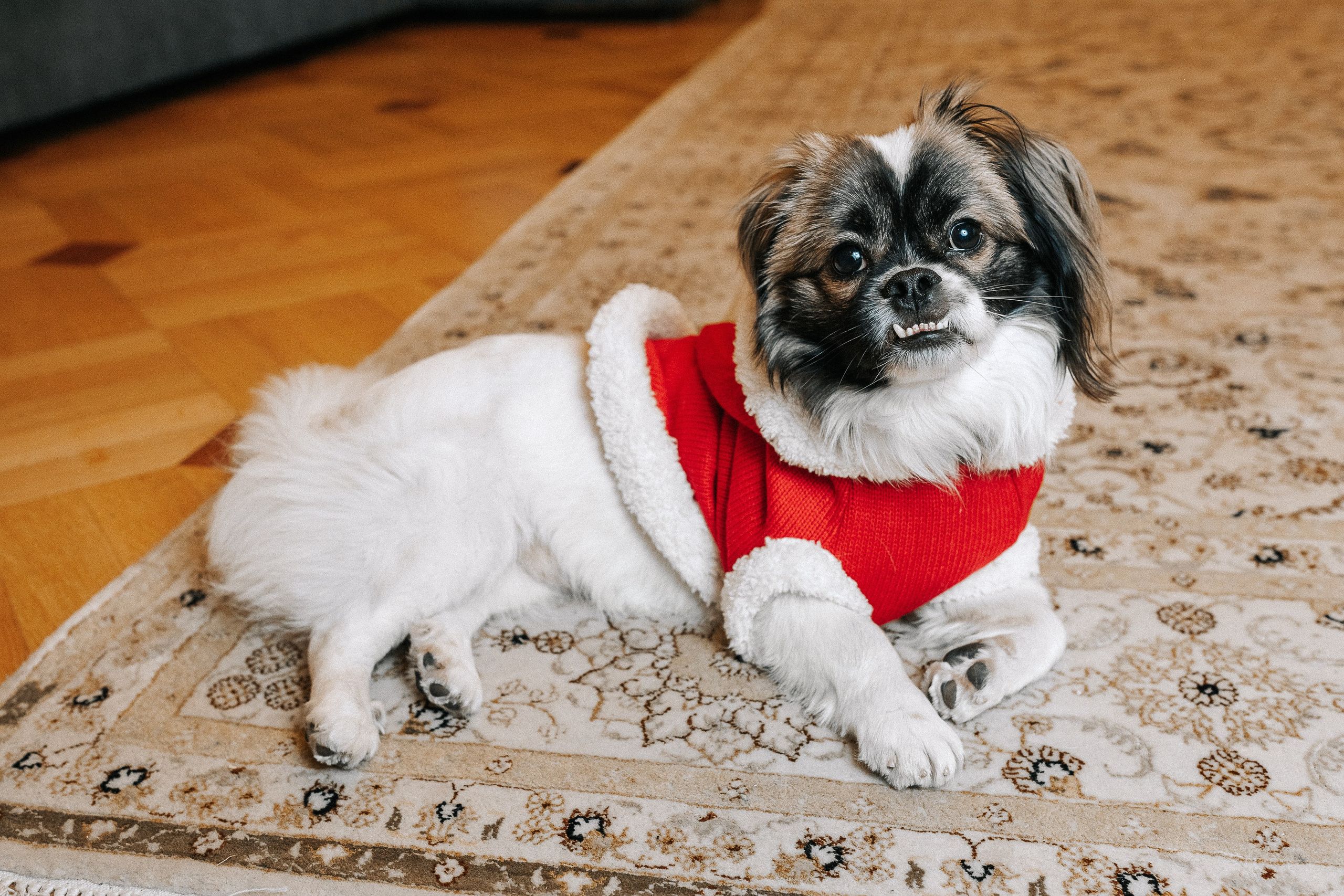 Выездная фотосессия, услуги фотографа с выездом на дом в Москве — цены
