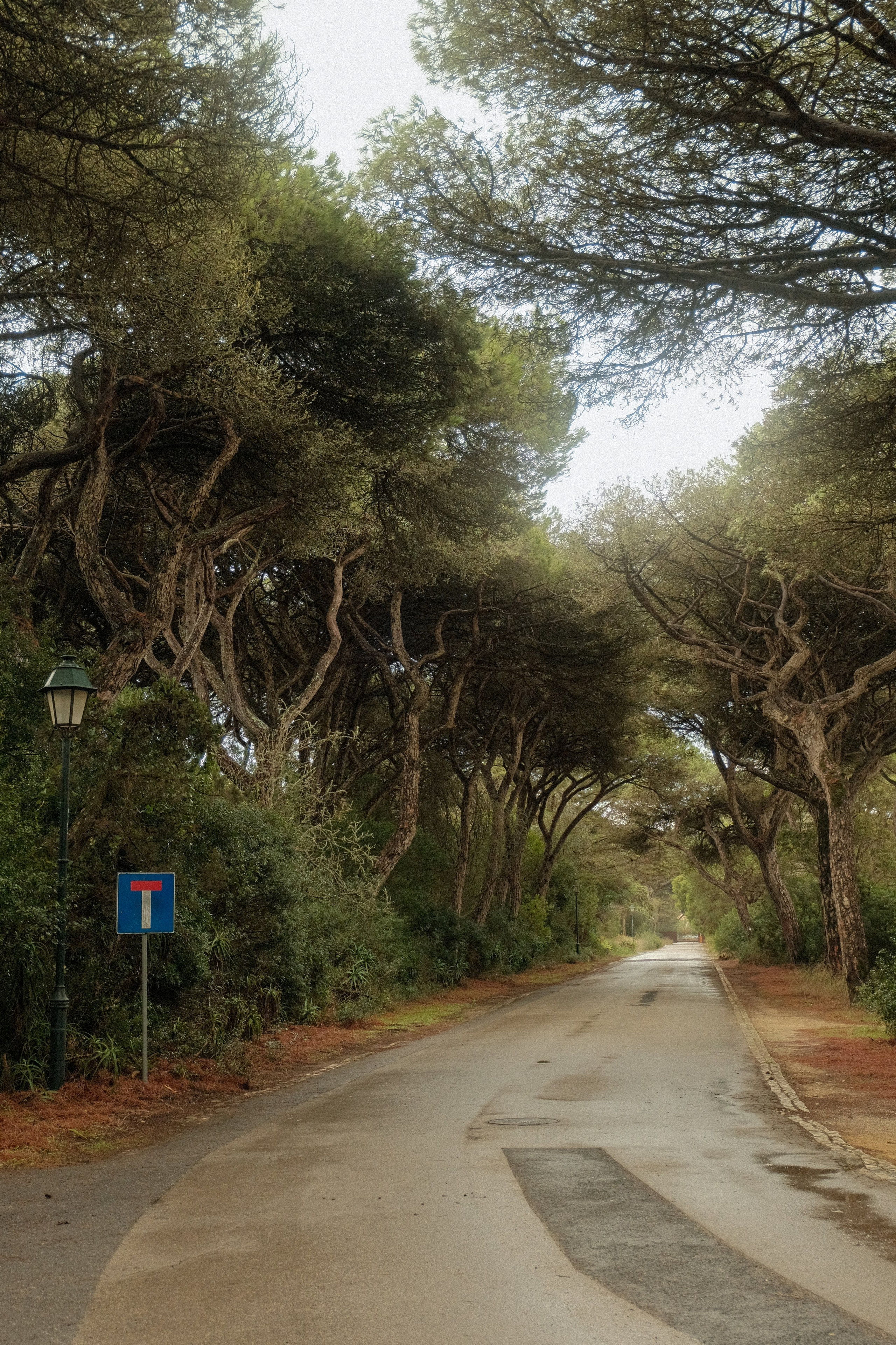 Lisbon. Creative travel photographer — Berg Daria