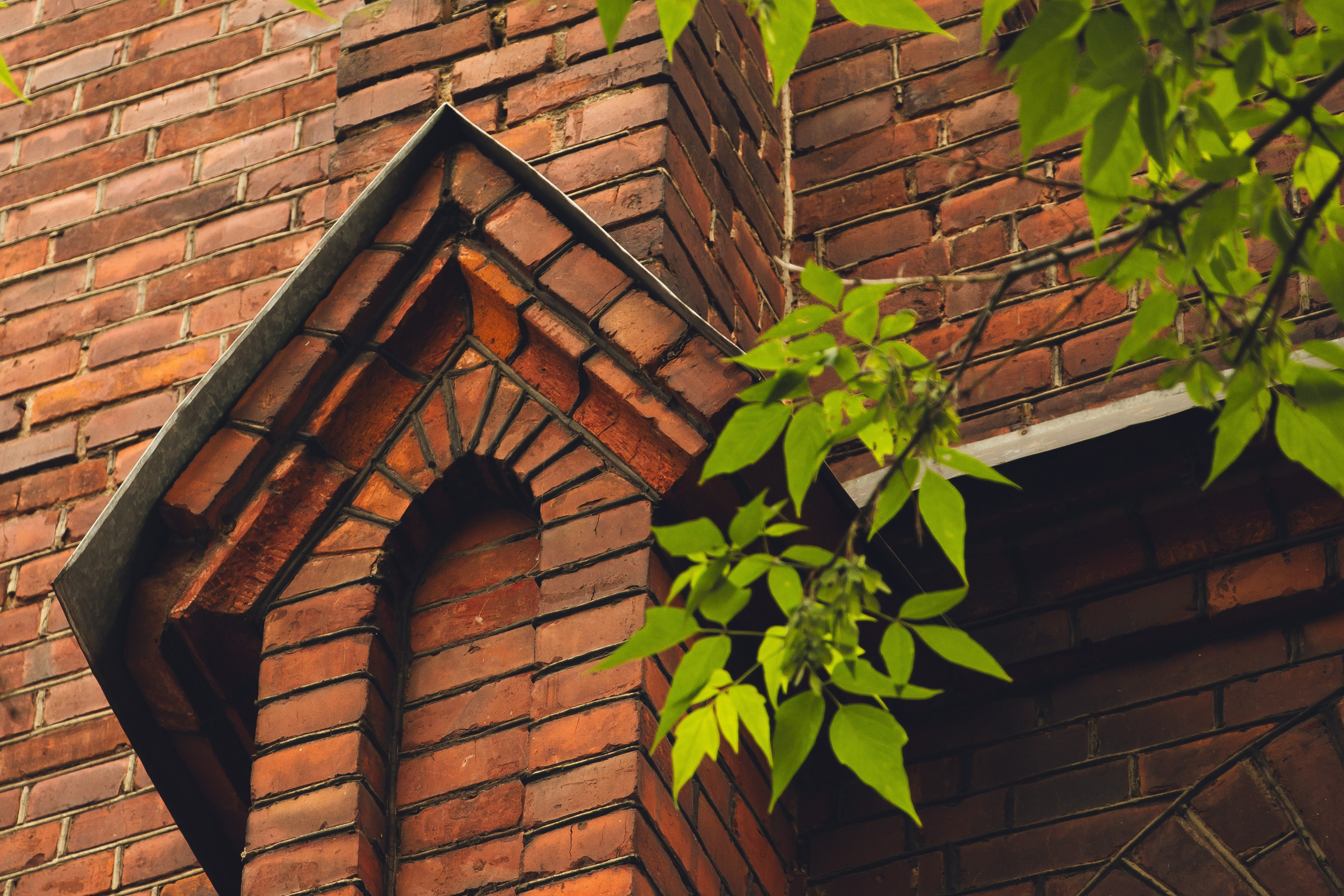 Рыбинск. Олег Романов. Мастер фото по спорту