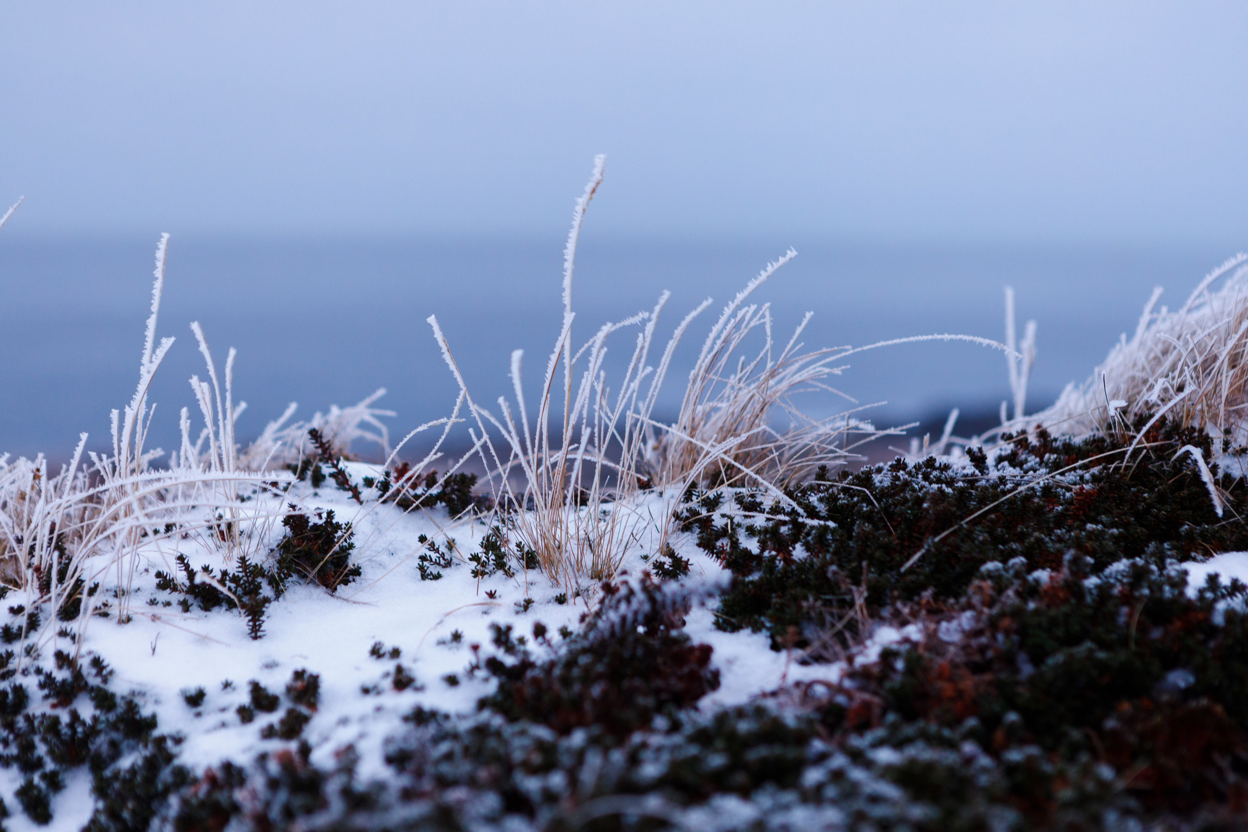 Материалы. Антон Ермаков | Коммерческий фотограф в Москве