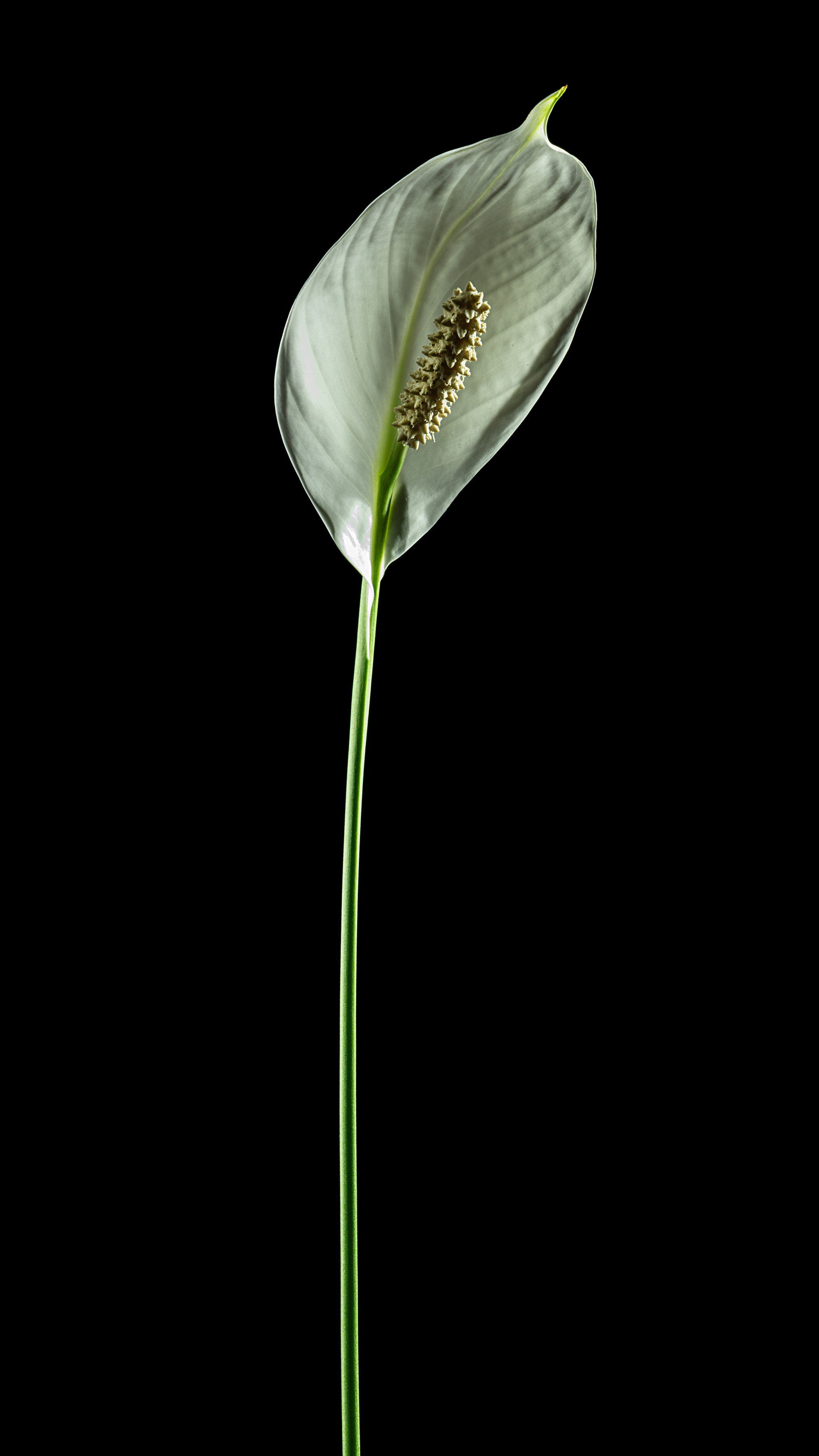 Проекты. Sakunov Photo