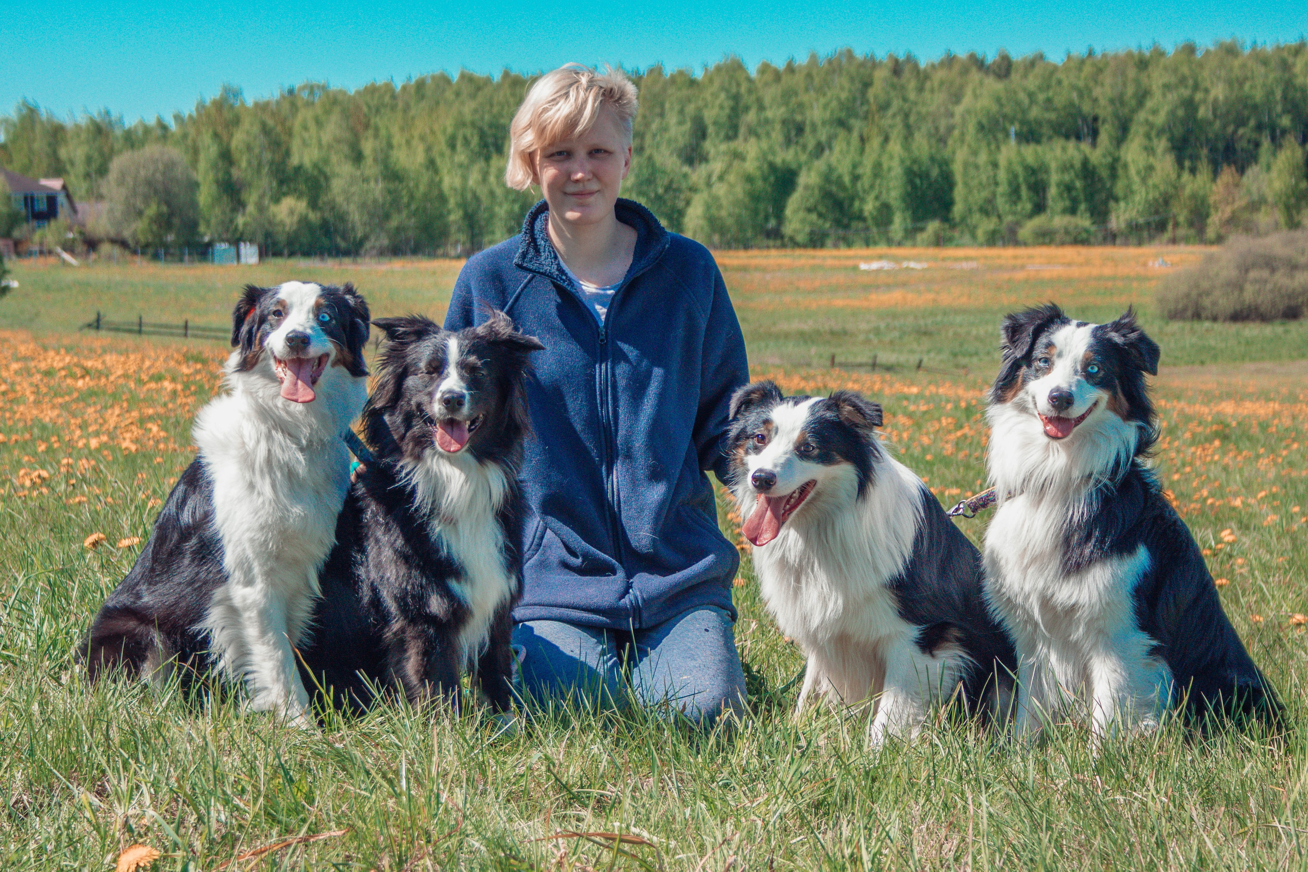 О нас. BLGKV питомник собак