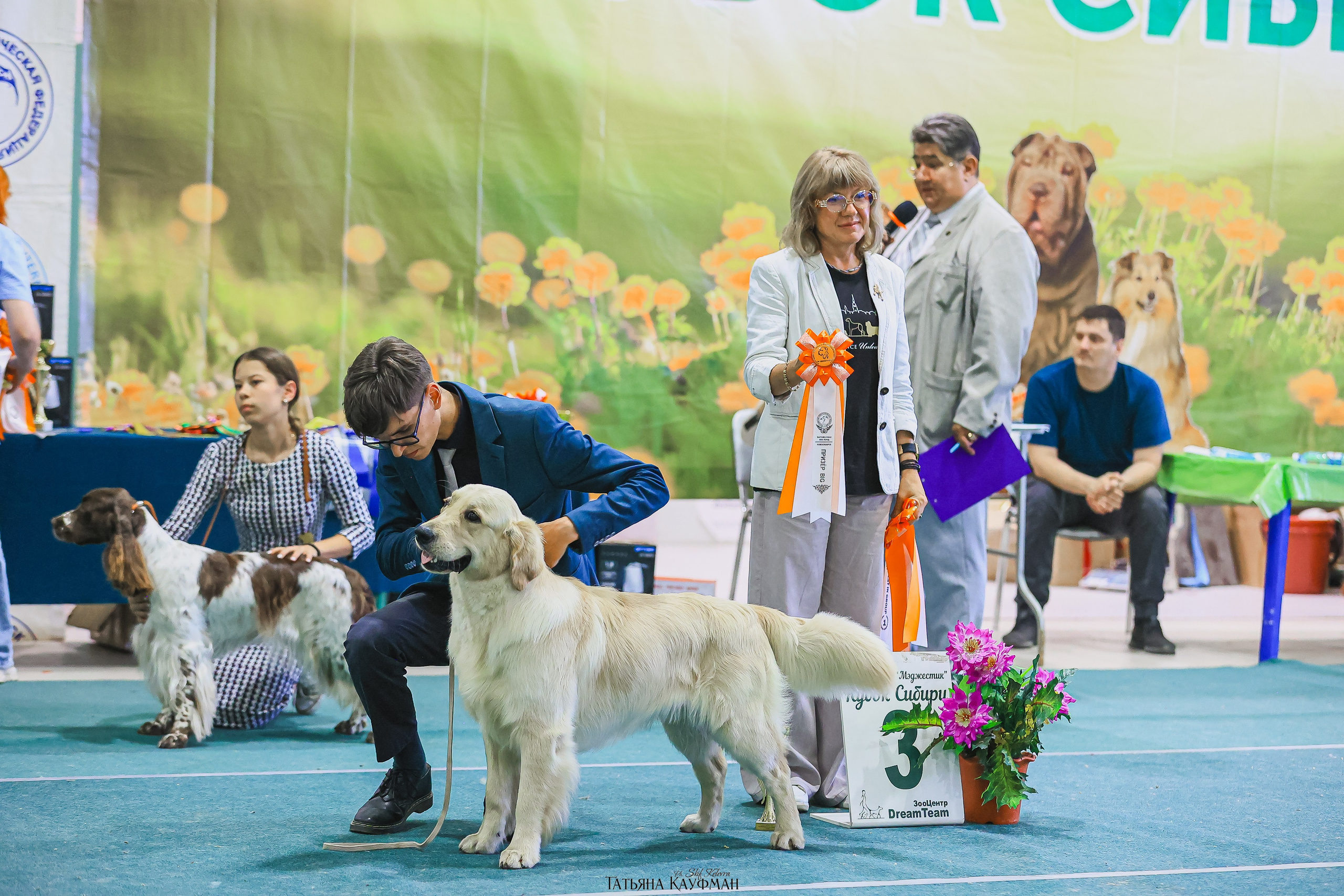 13.07.25 2х выставки собак. Новосибирск. «Кубок Сибири»