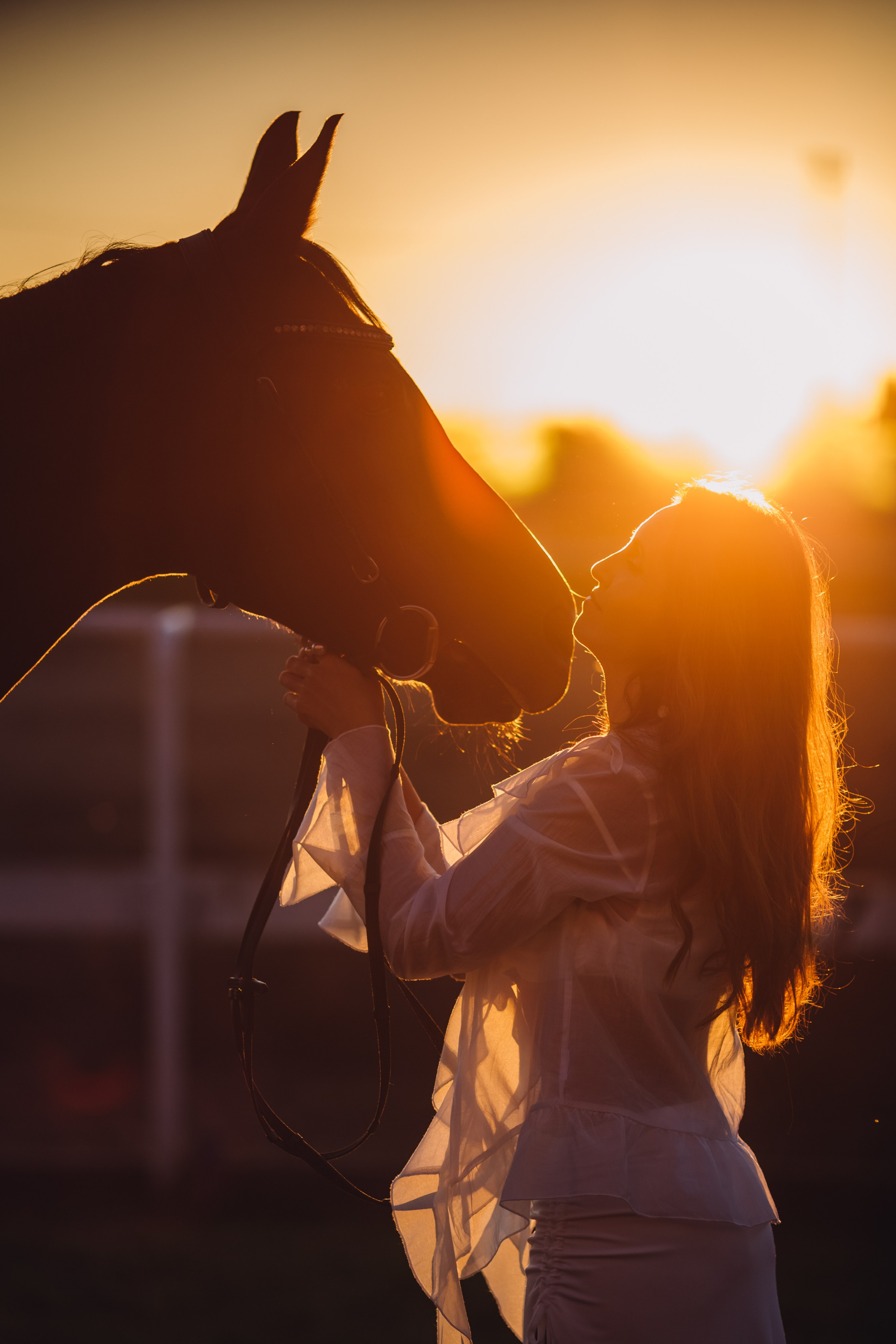 Фотосессия с лошадьми в Магнитогорске, фото с лошадью Магнитогорск, конная фотография, фотограф Магнитогорск, фотосессия Магнитогорск, конный фотограф, женский портрет, портрет с лошадью