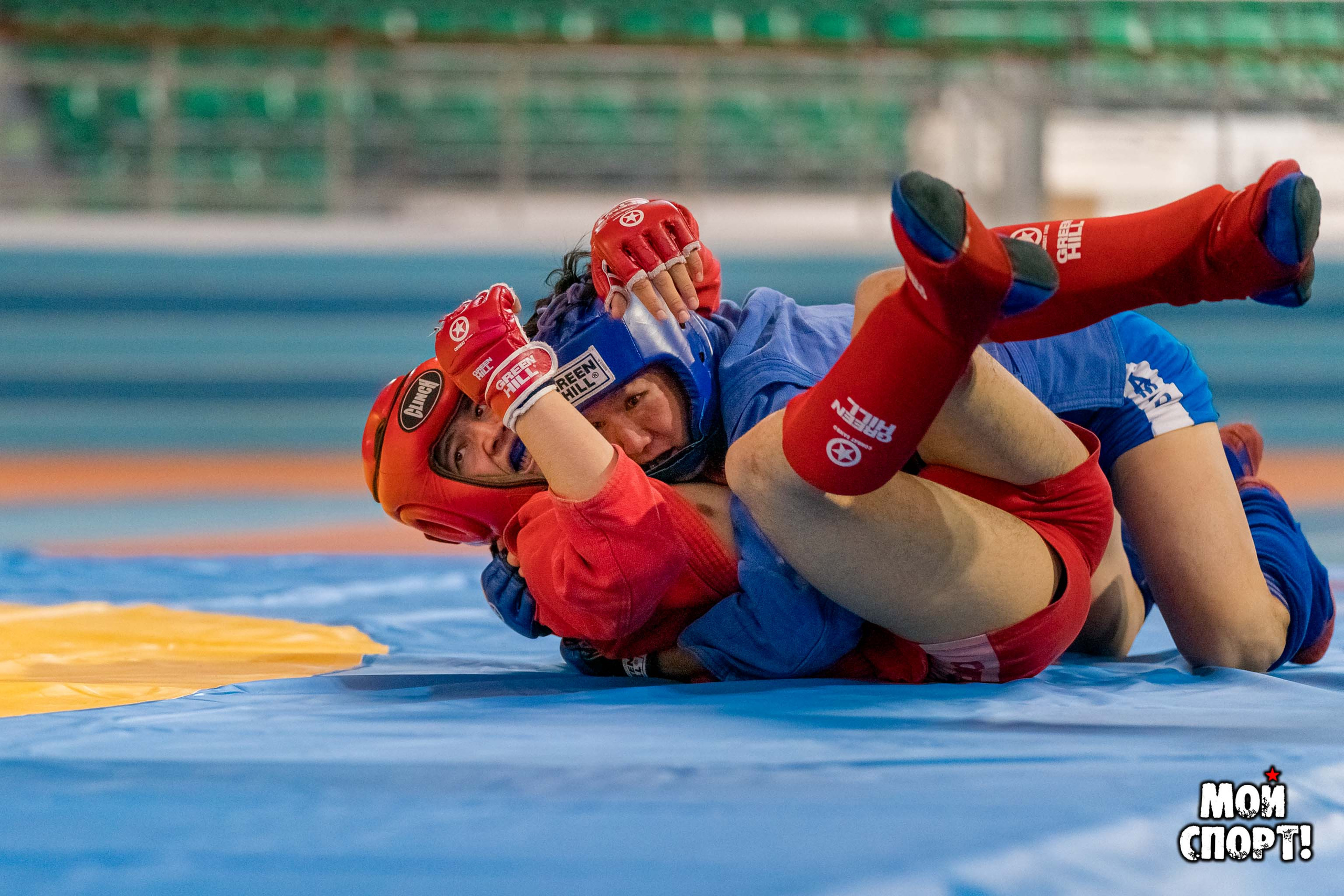 Всероссийские соревнования по боевому самбо «Памяти Героя России А. А. Рыжикова». Студия «Мой Спорт!» — все о спорте в Якутии