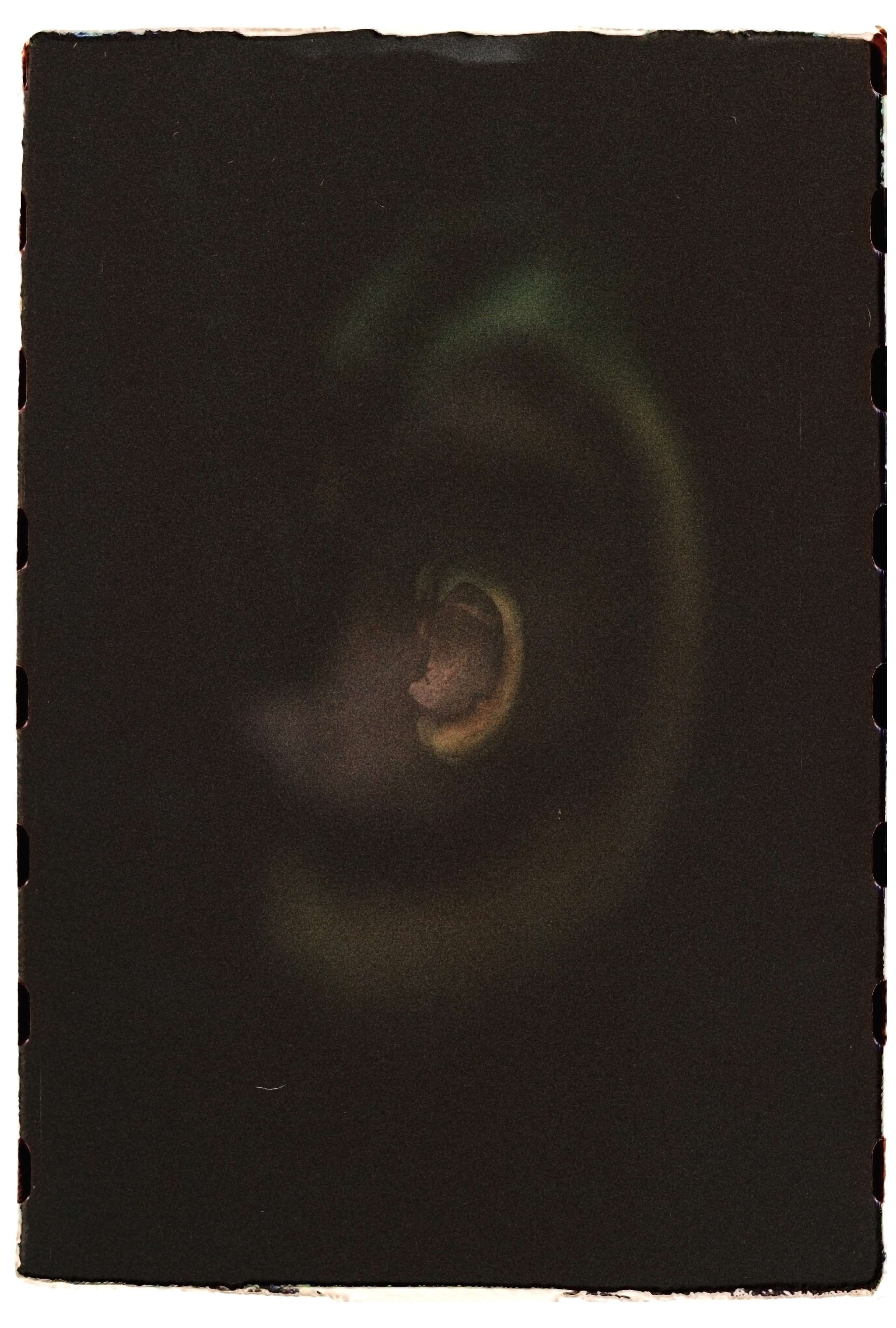 Иустина, Принцесса Византийская. Плод от Плода