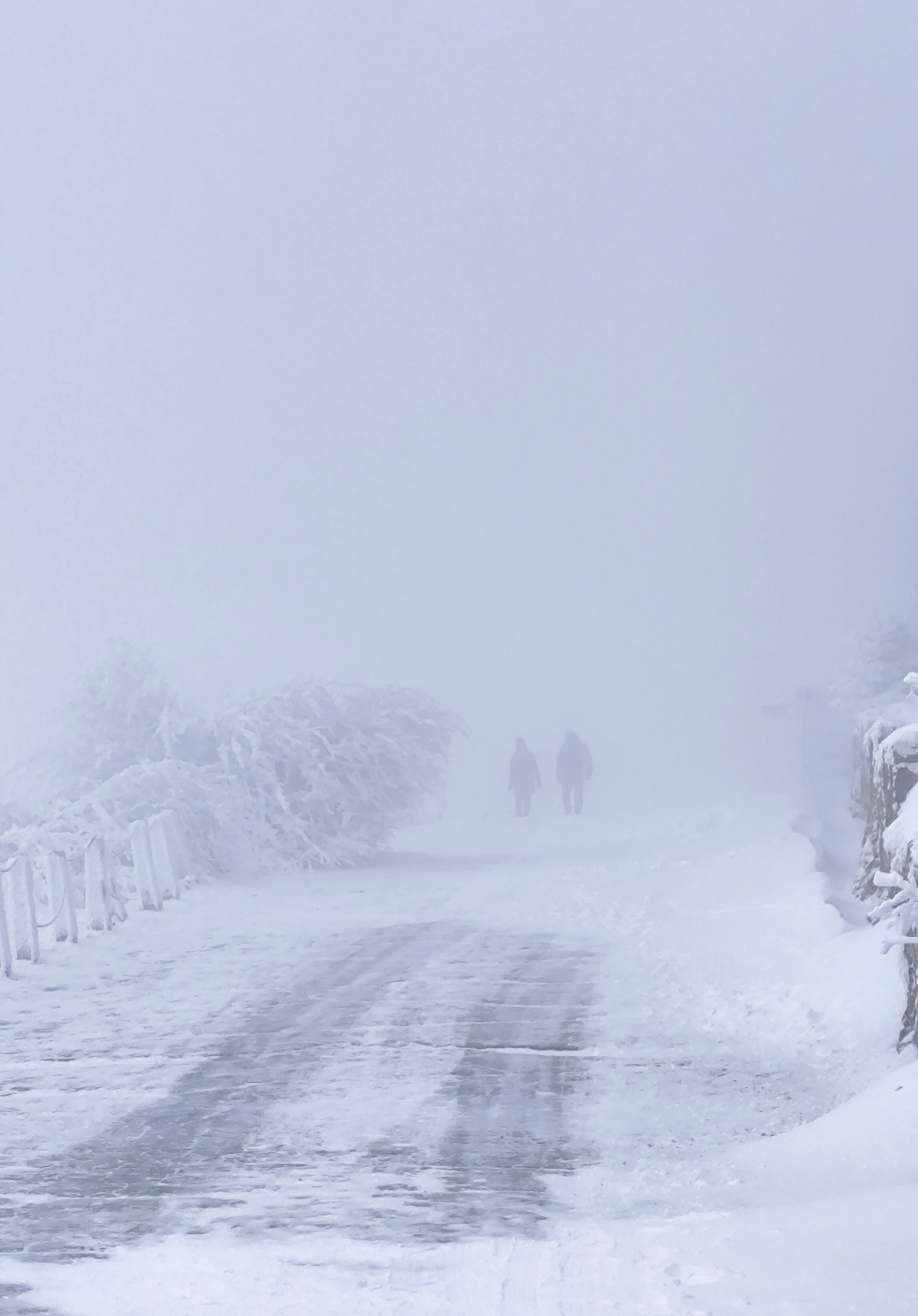 По-настоящему зимний Пятигорск. Фотосайт Андрея Прокопенко