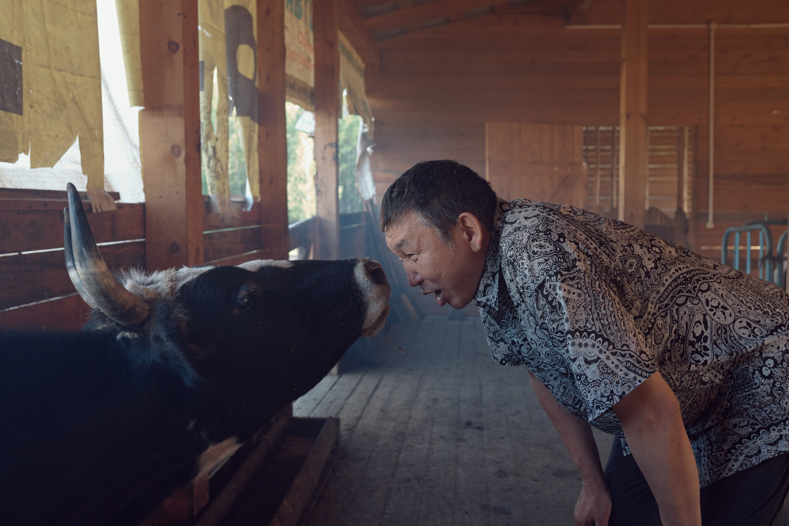 Kylys. Slava Lyu-fa