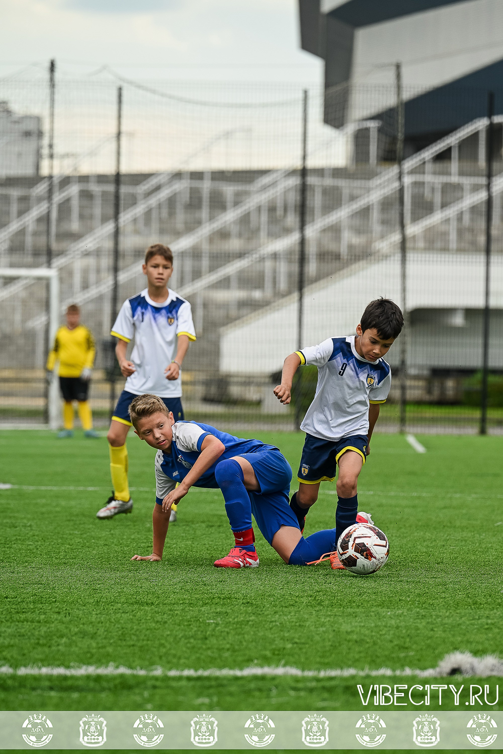 Калининградская Детская Футбольная Лига. VIBECITY.RU Вайб Сити Ру Фоторепортажи Фотоотчеты Калининград
