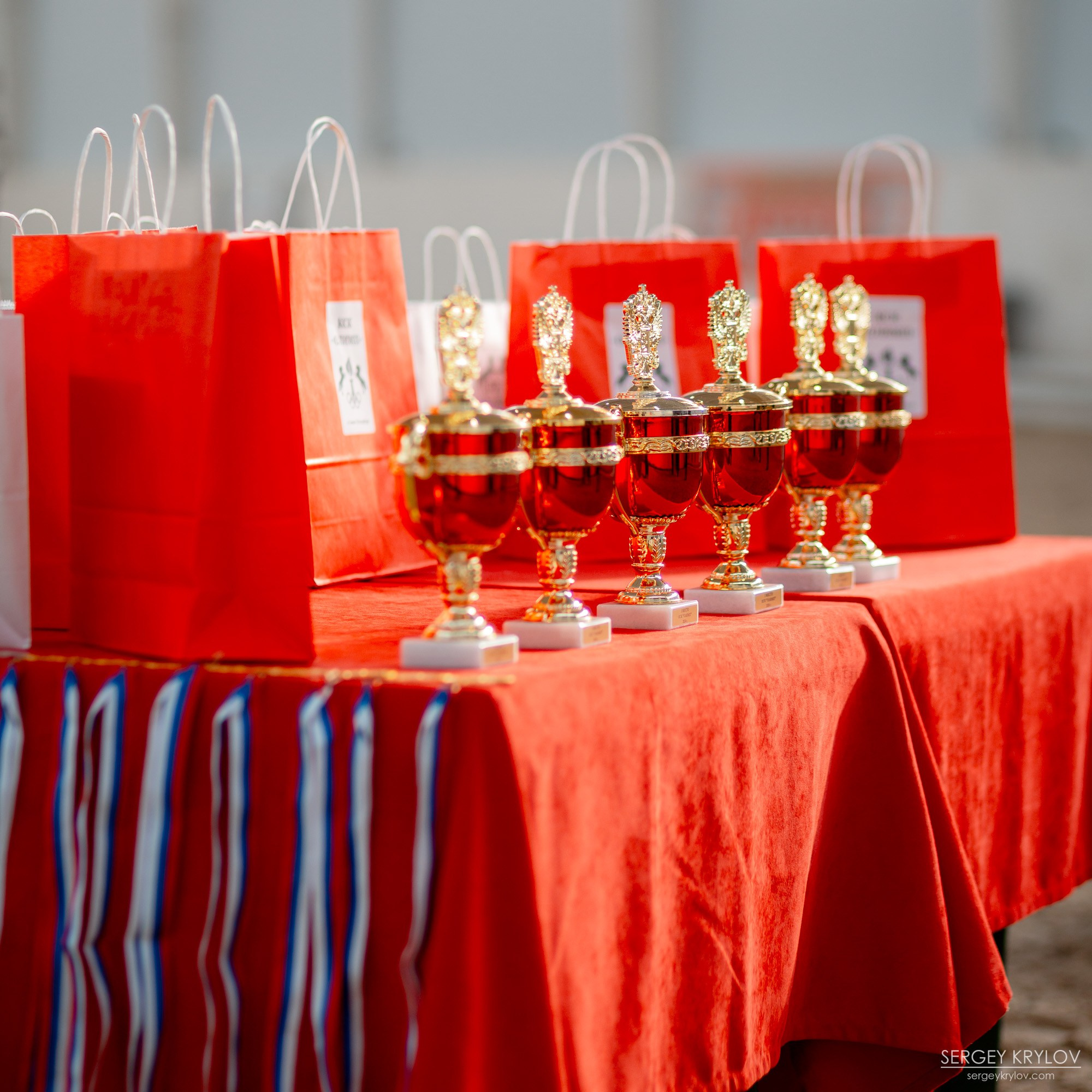 Выездка в КСК «Олимп»