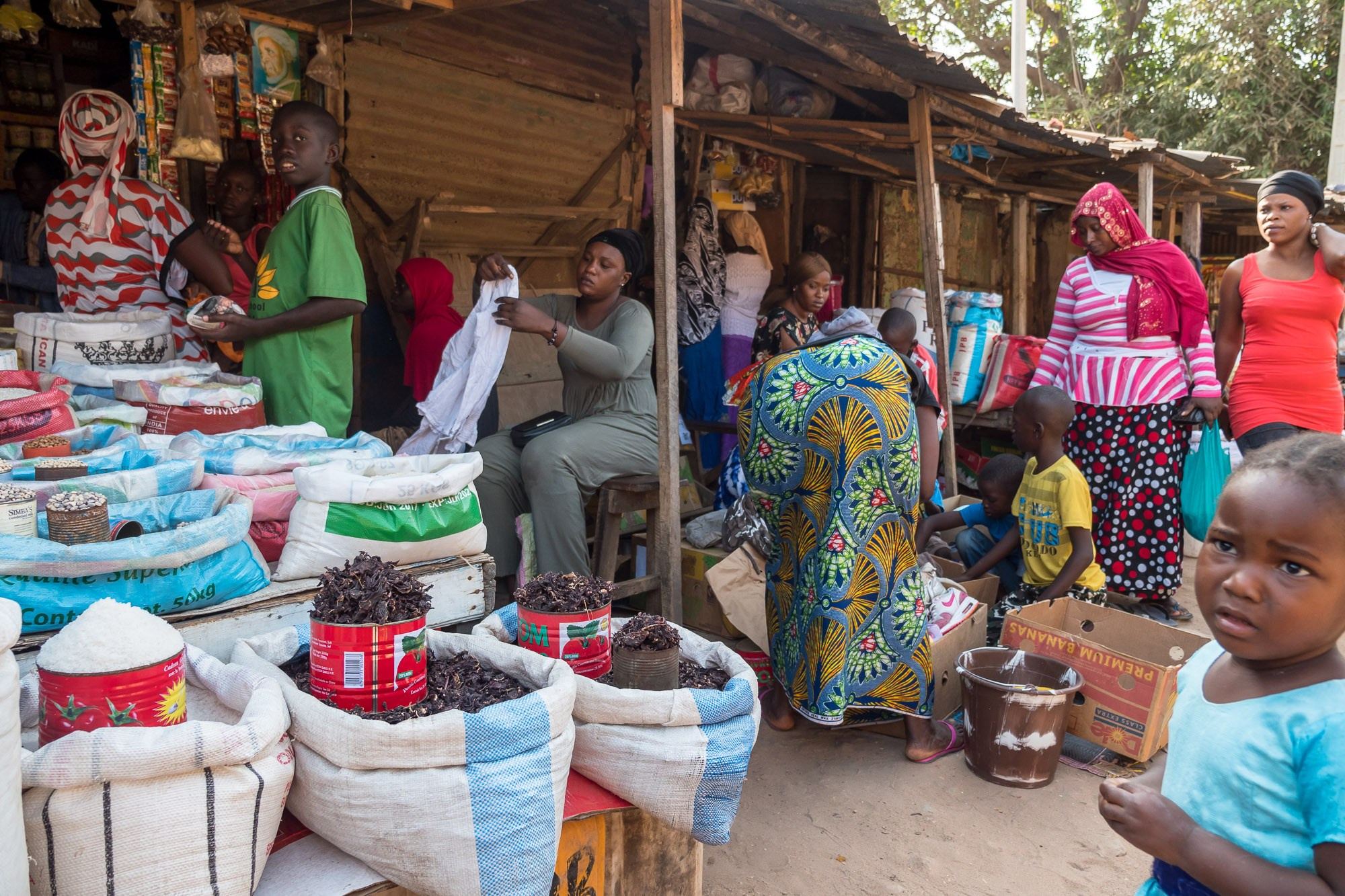Путешествие по Гамбии (Западная Африка).Traveling in Gambia (West Africa.). Фотограф Алексей Скоробогатько