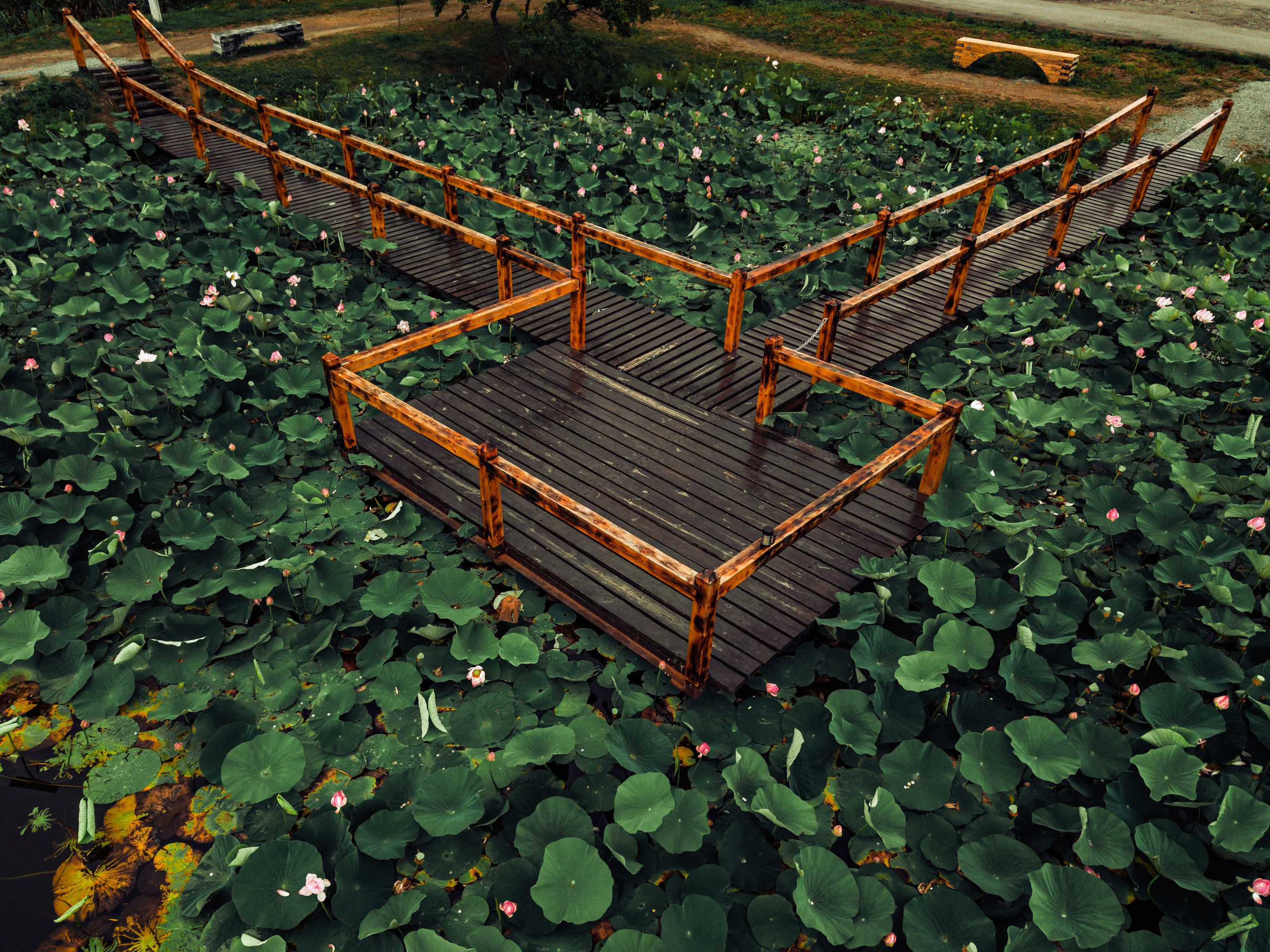 Пруд «Семейный» | с. Петровка. Иван Зайцев (IZIART) — создание культурного кода через фото и видео