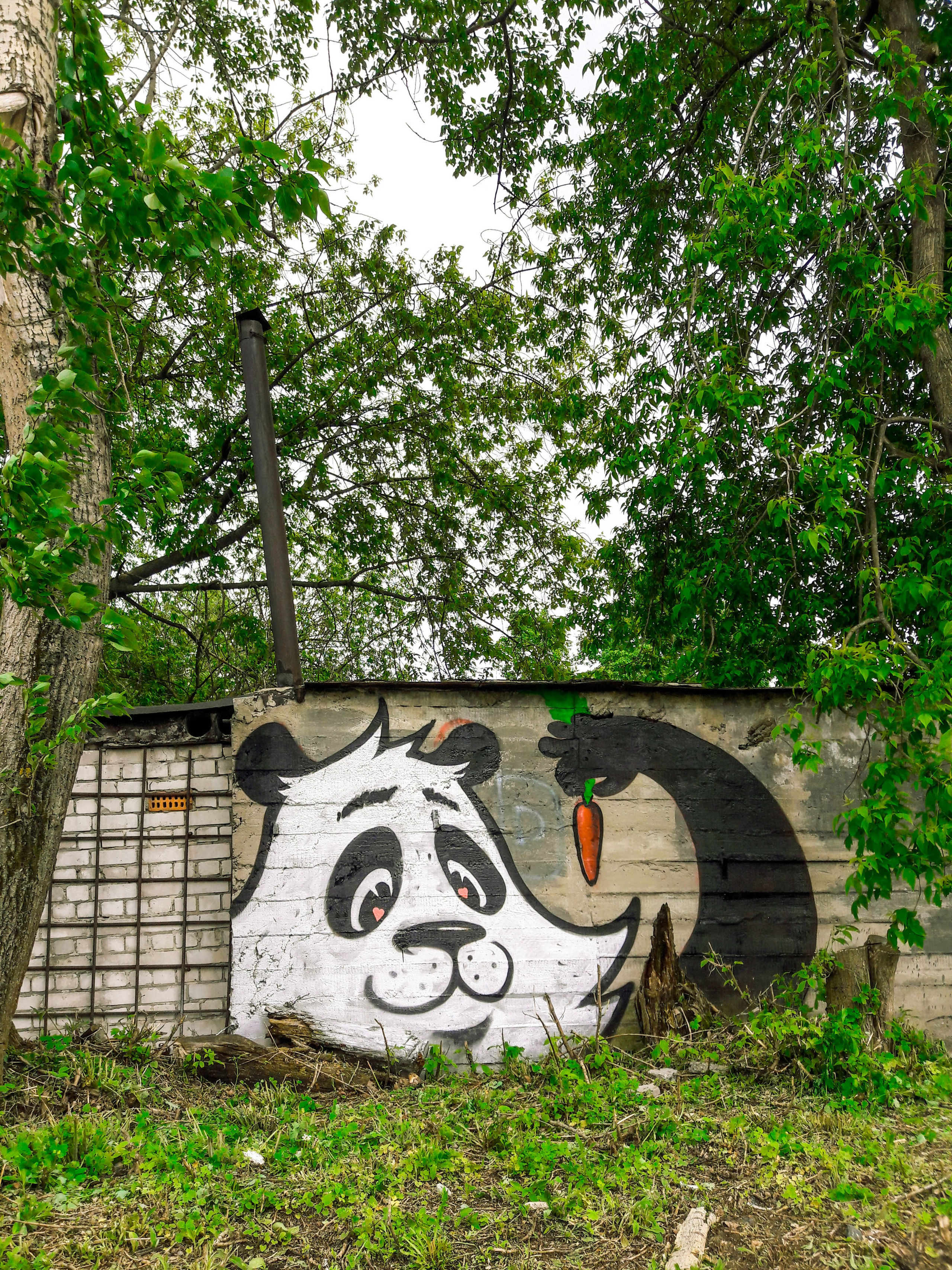 Graffiti. Alexander Stan Shimanov