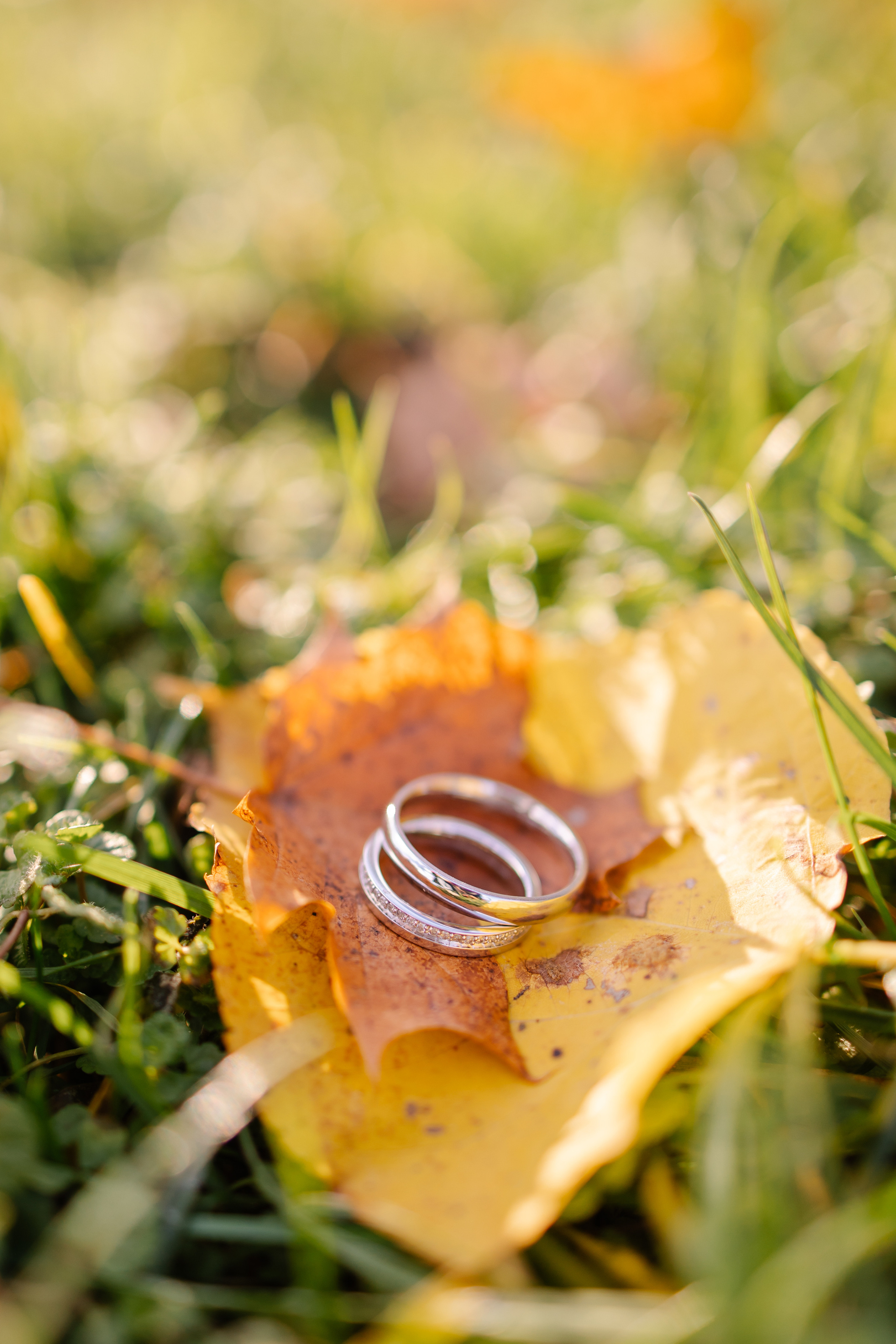 Свадьба в осеннем Мюнхене. Семейный фотограф в Мюнхене Даша Антипина