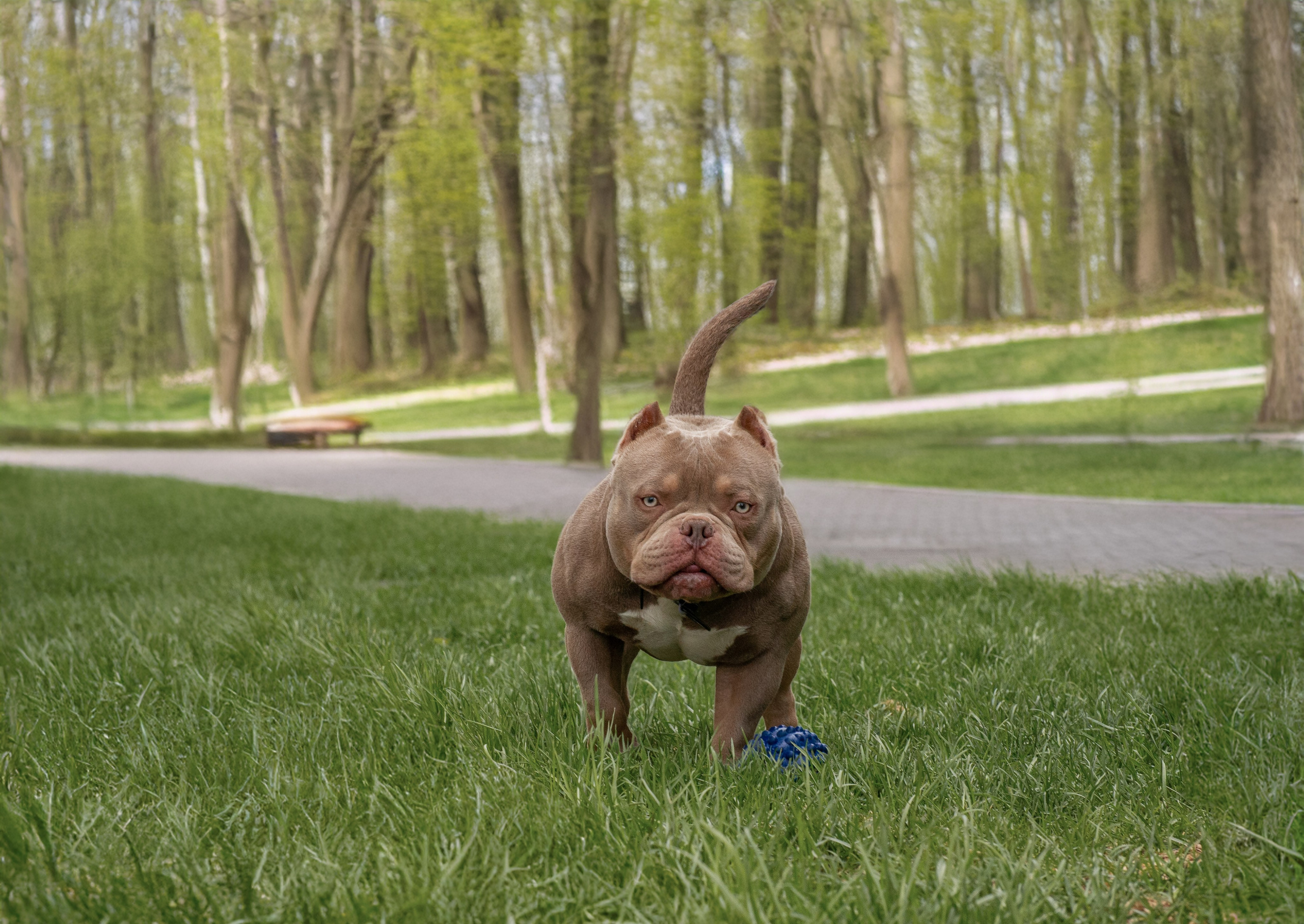 Услуги. Творческий фотограф Москва и МО Юлия Широкова