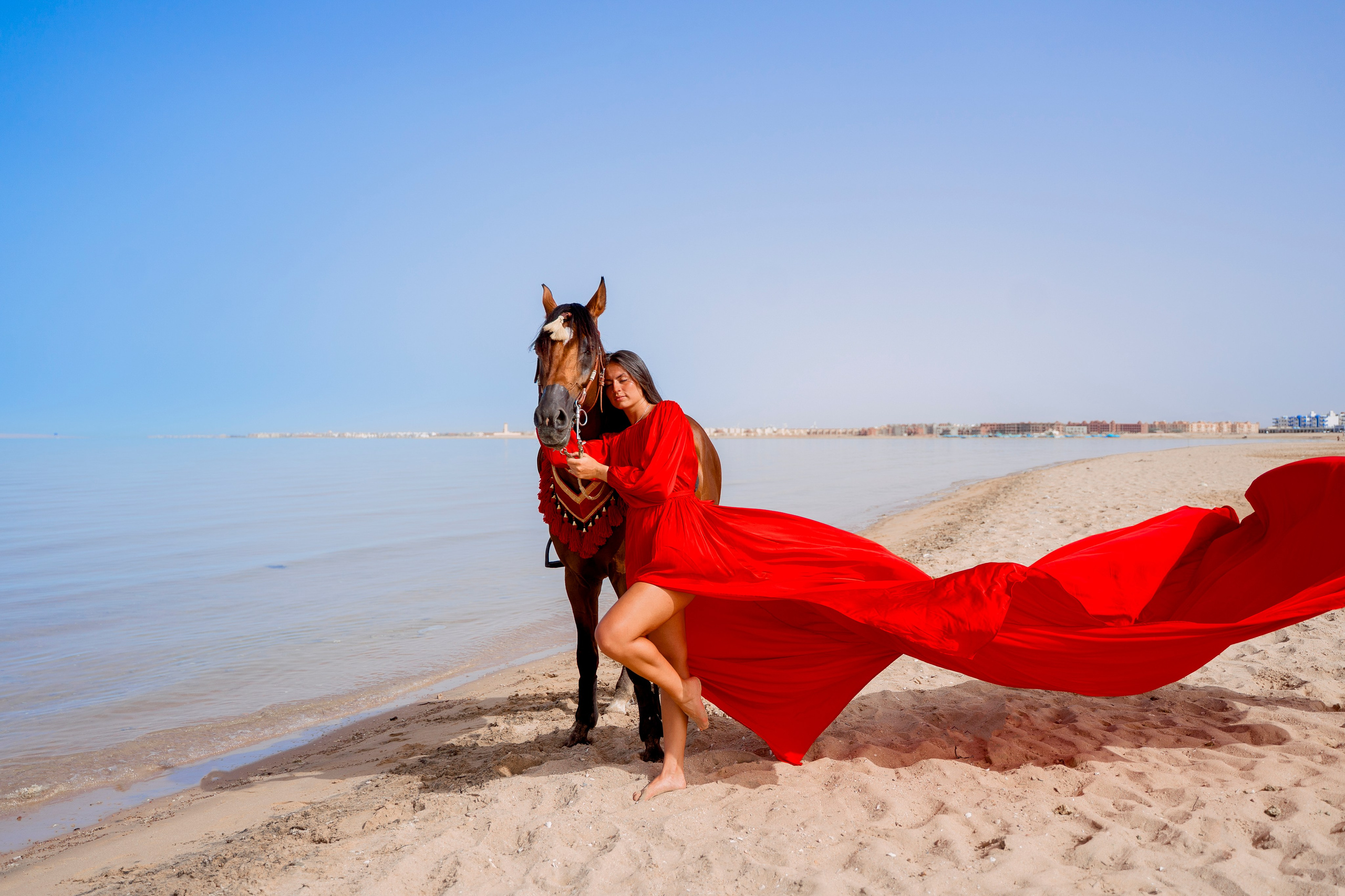 Фотосессия с лошадью на море. Photographer in Egypt, Hurghada, Luxor, Safaga