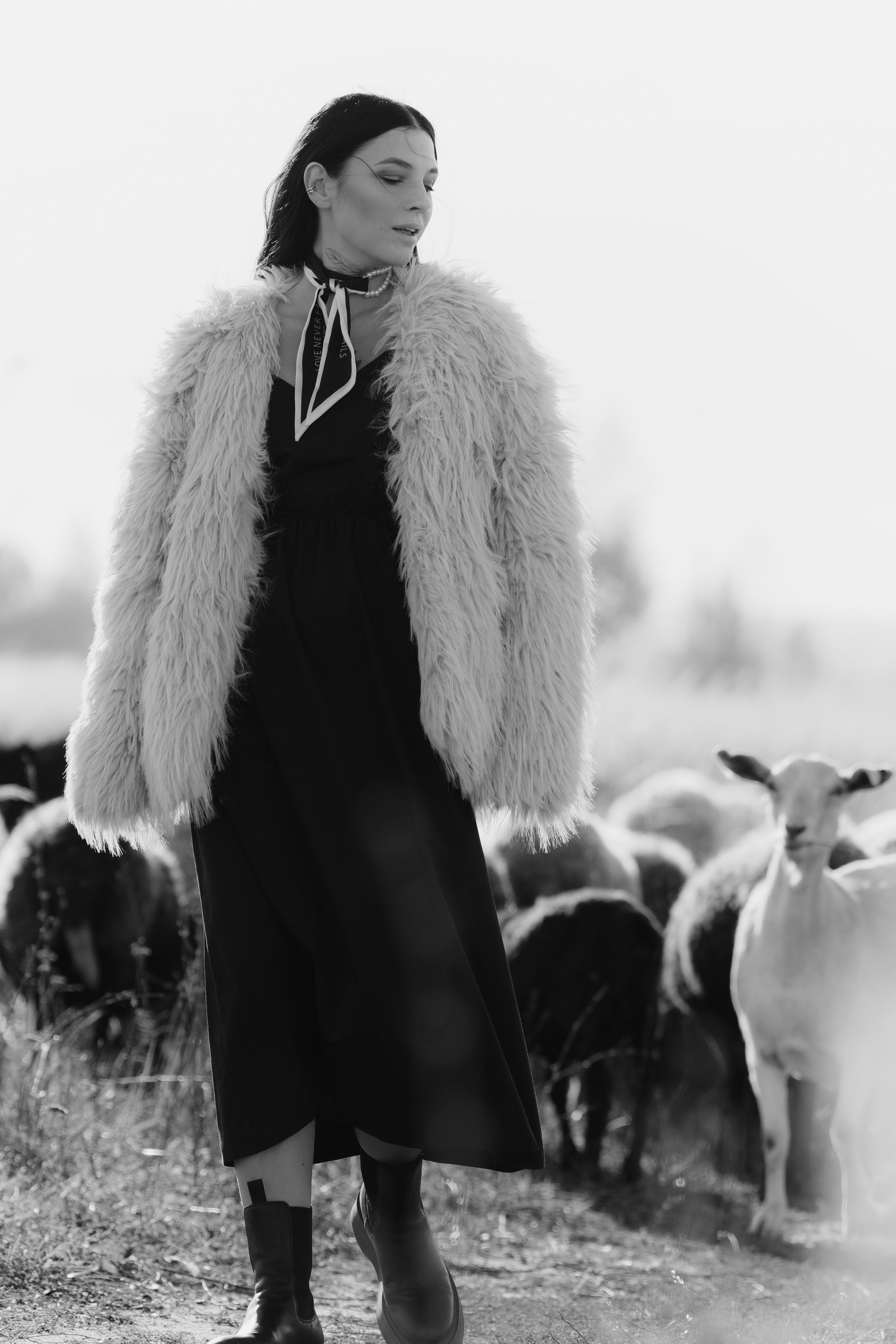 Охота на овец