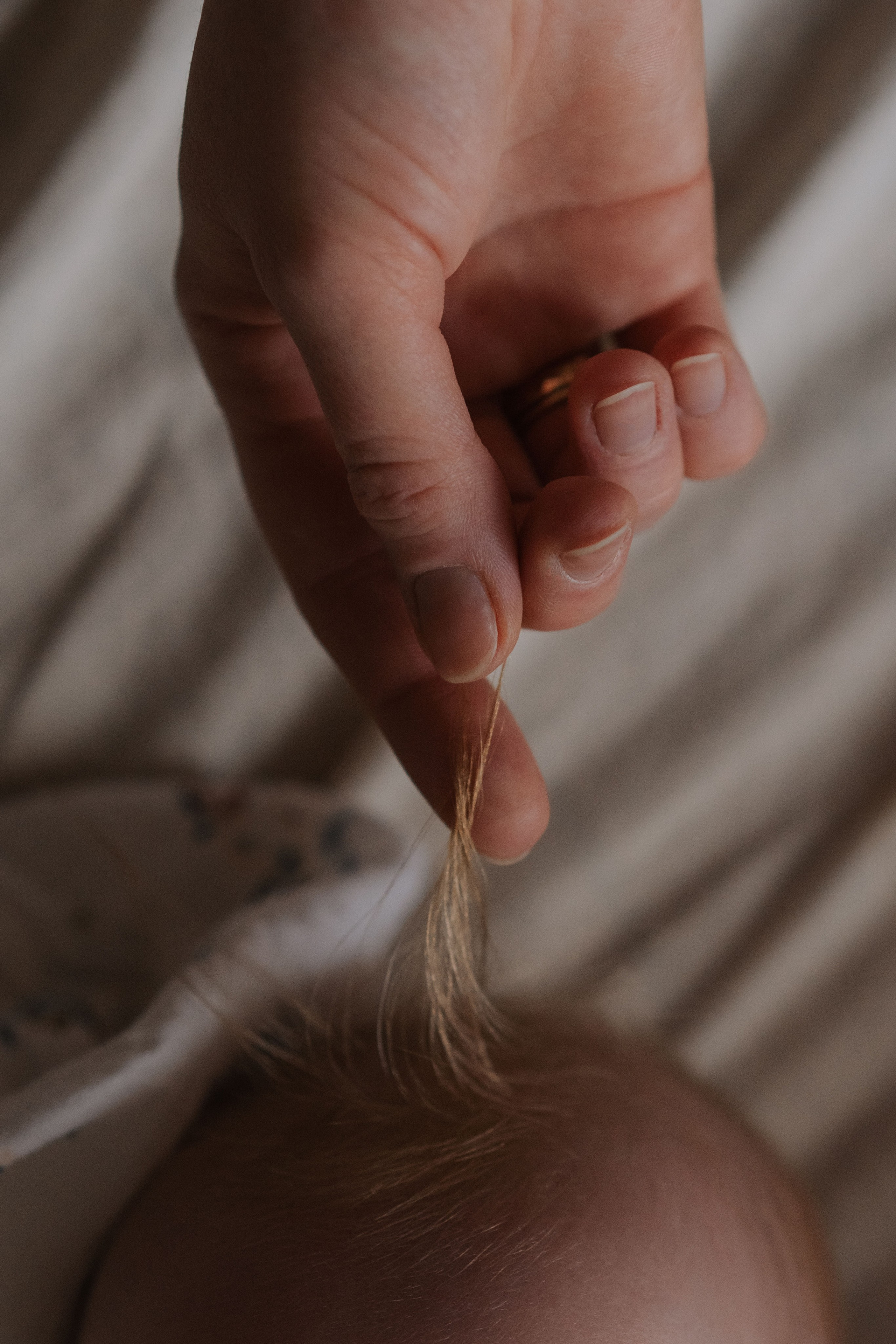 Услуги. Семейный фотограф в Москве Анастасия Скоголева