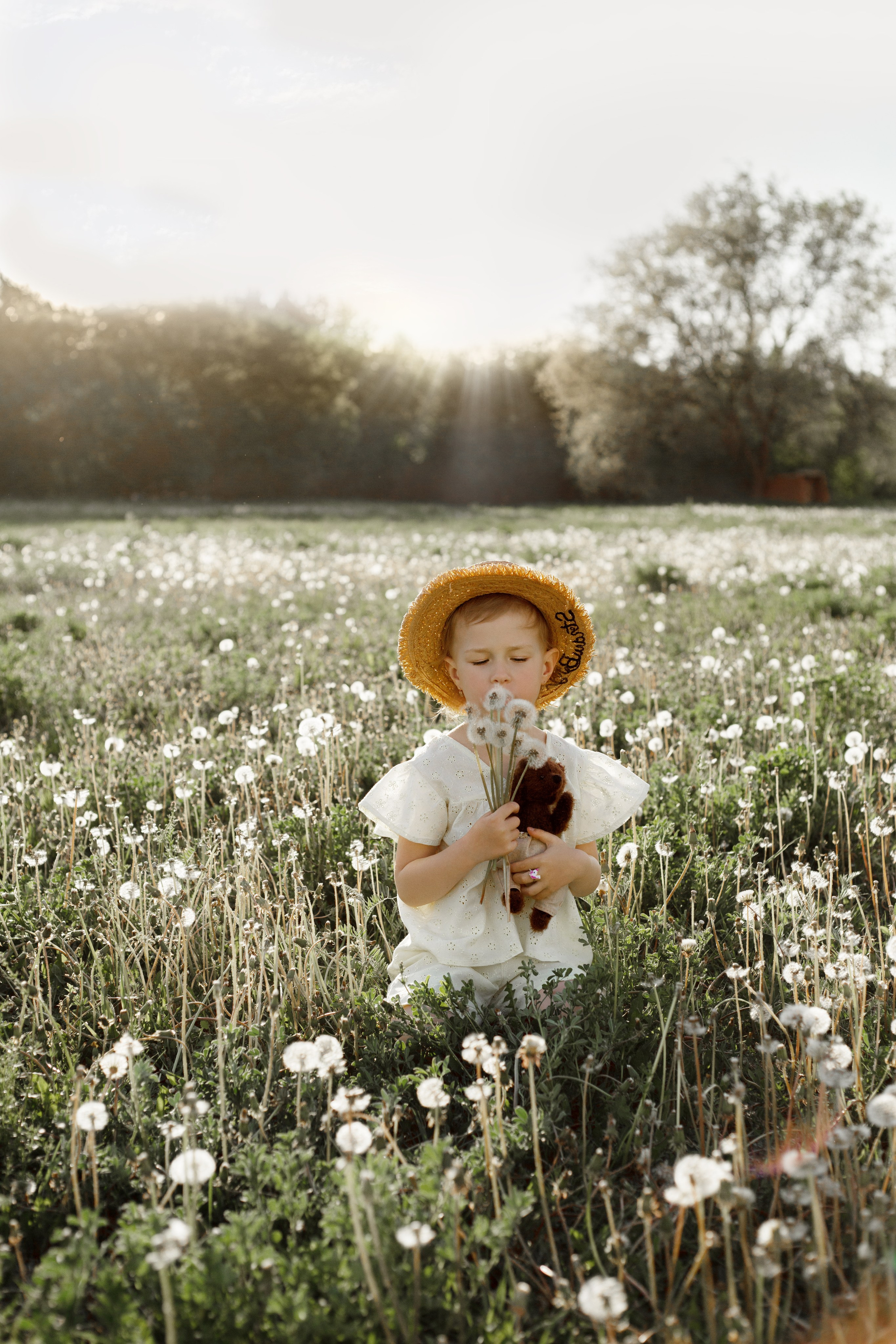 Одуванчики. Фотограф в Новосибирске Краснова Евгения