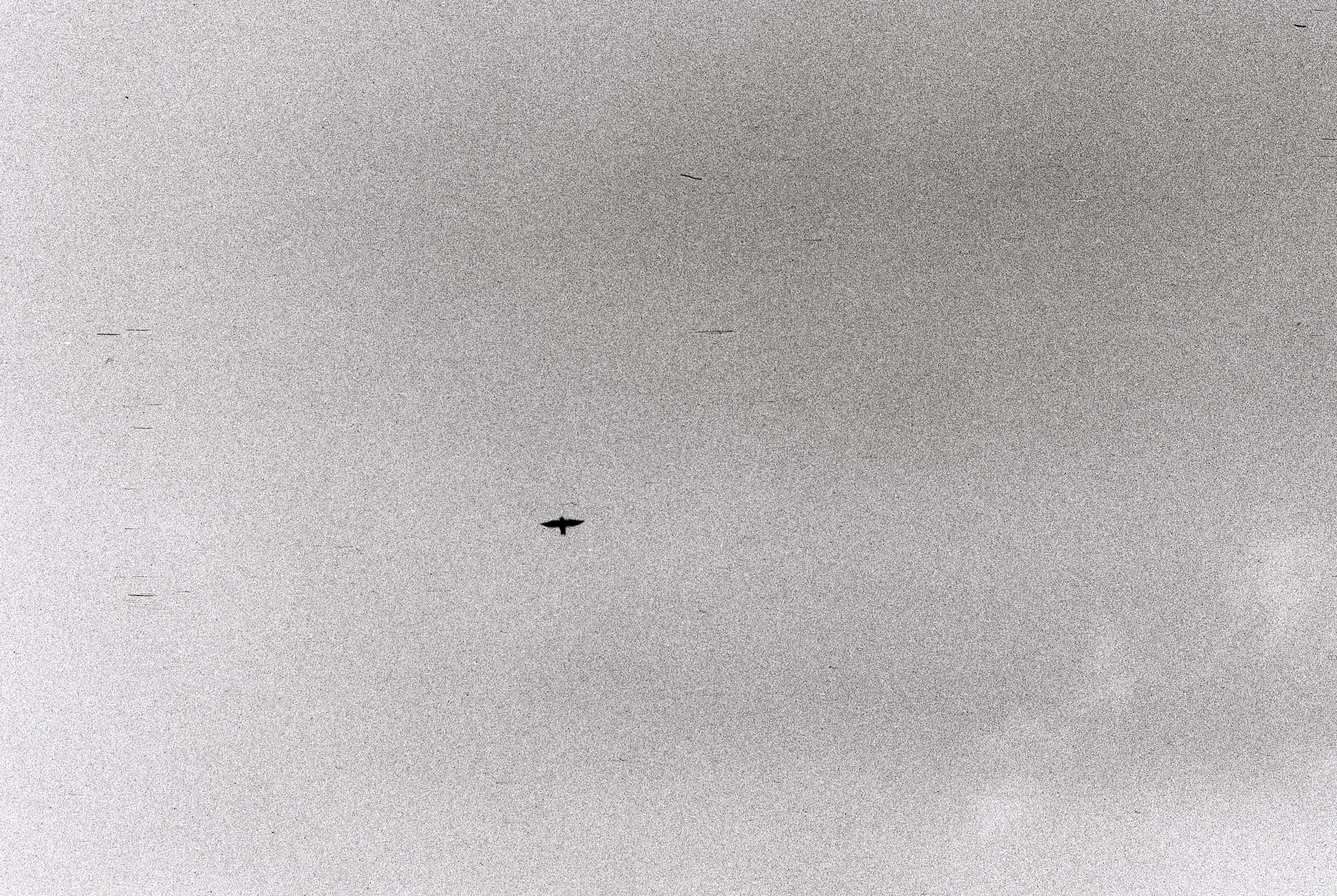 Пьюти-фьют. Игорь Скабелин