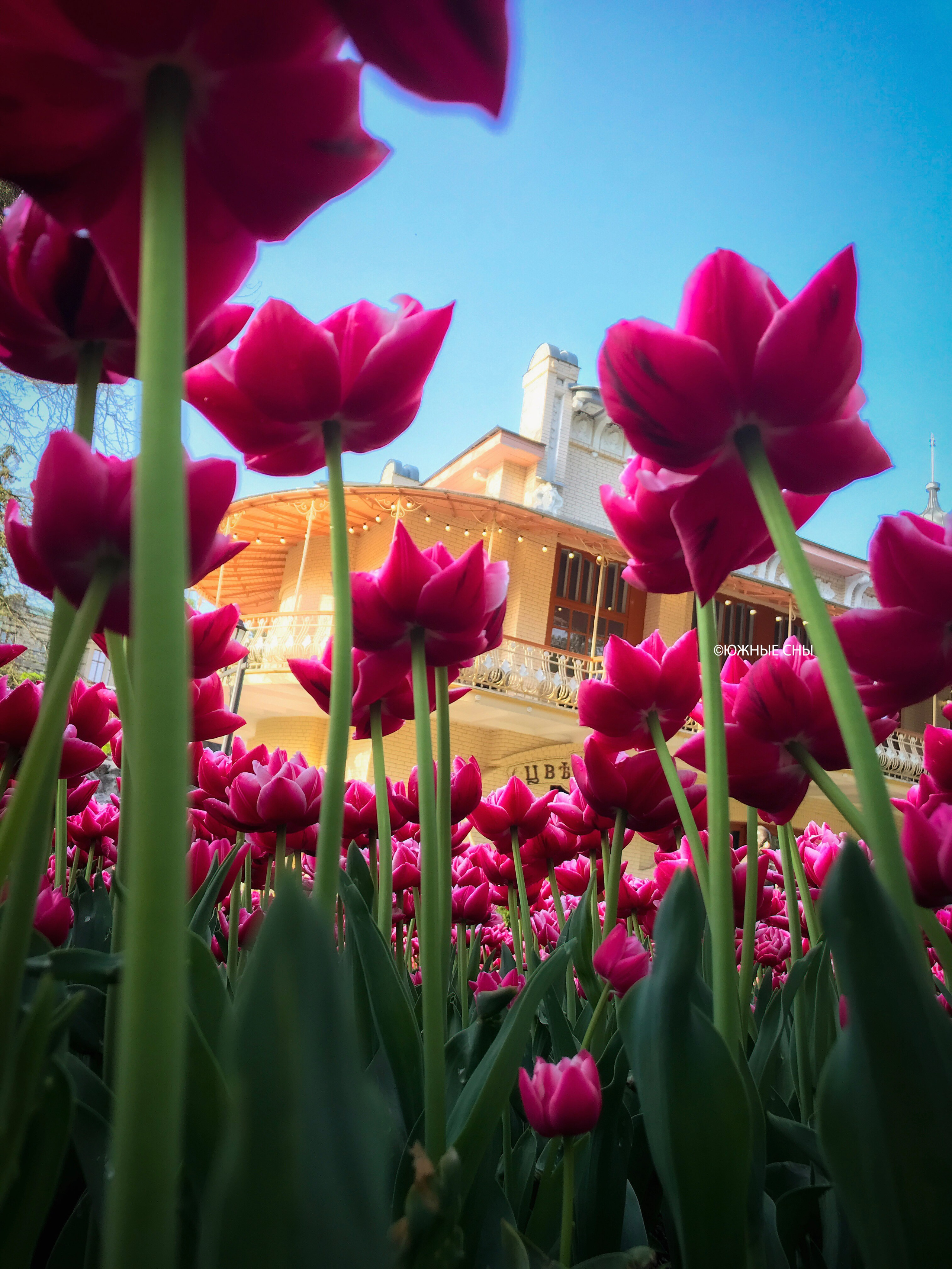 Пятигорск: авторская фотопрогулка по городу и мастер-класс по съемке на мобильный телефон