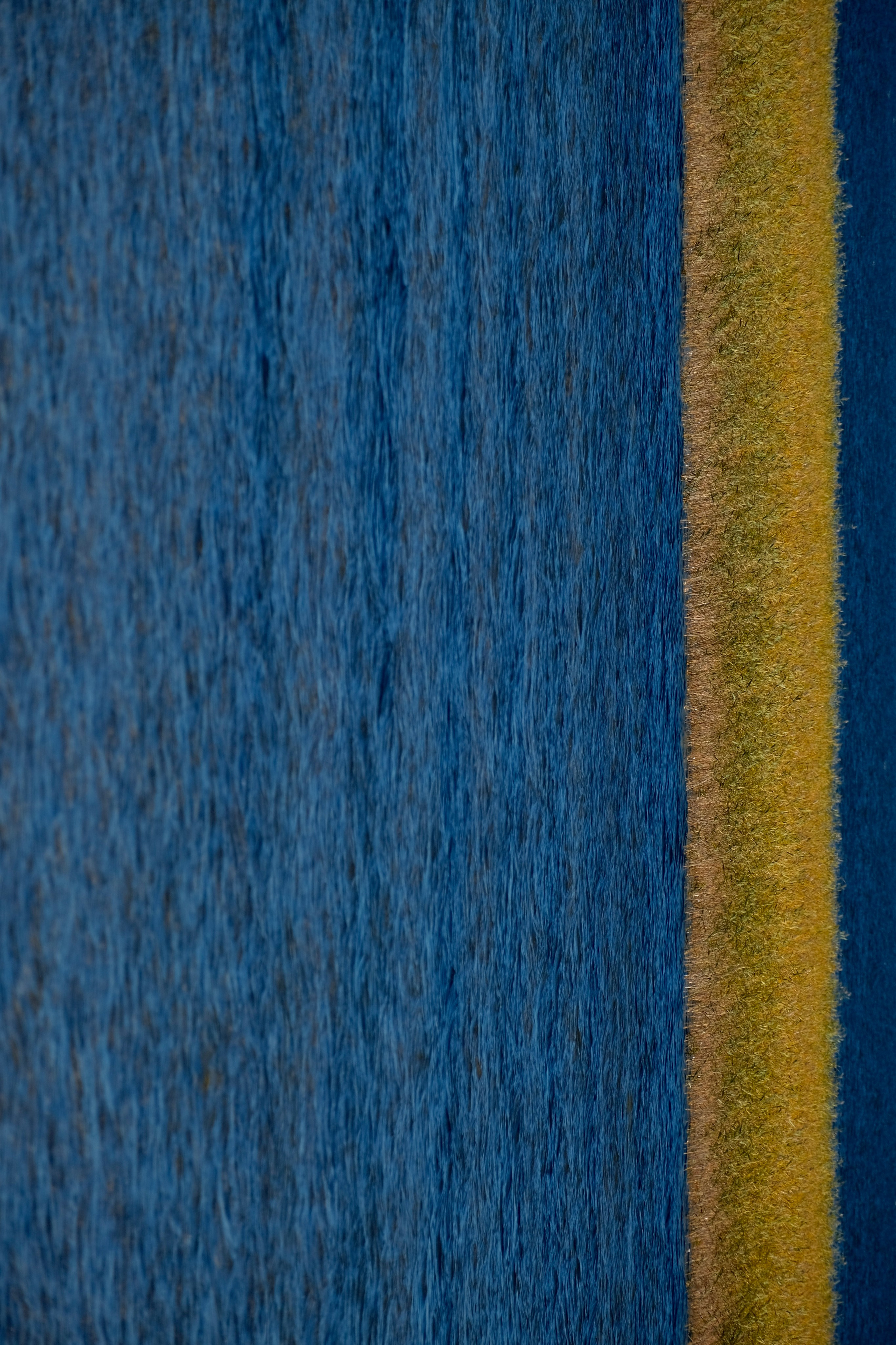 Русский север 27.09.25 — 05.10.25. Фотострелка