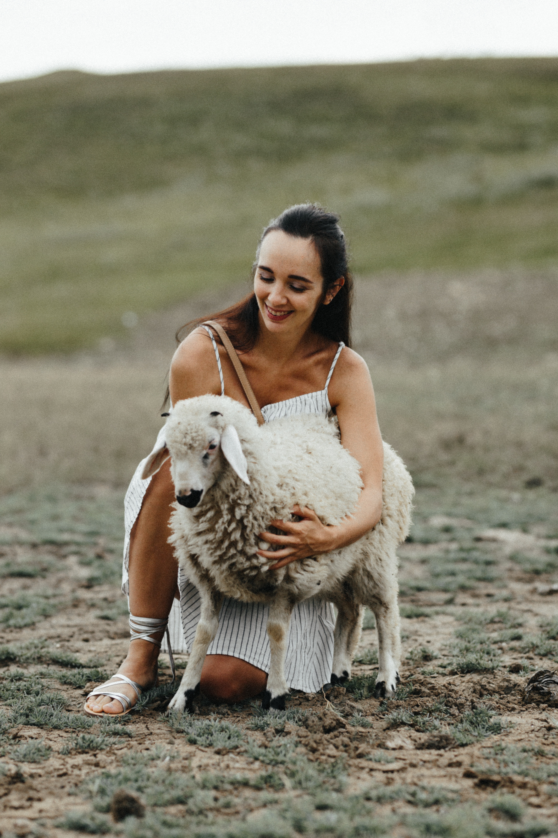 Sheeps. Aliaksandr Shyshko is a wedding and family photographer in Georgia and