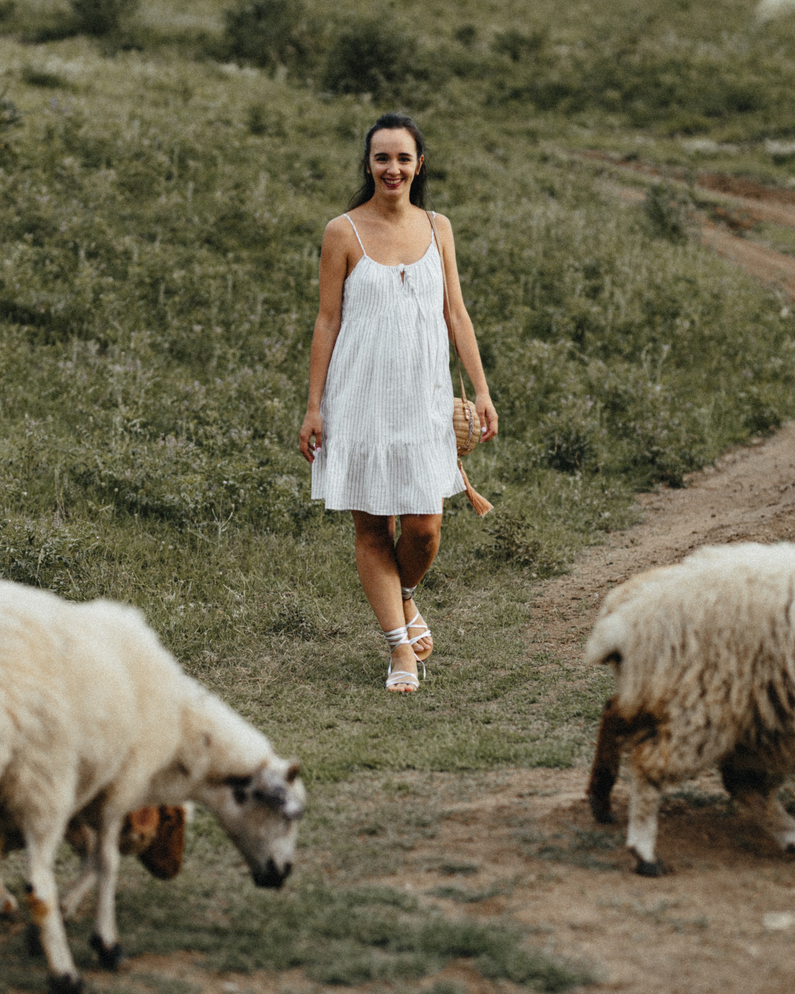 Sheeps. Aliaksandr Shyshko is a wedding and family photographer in Georgia and