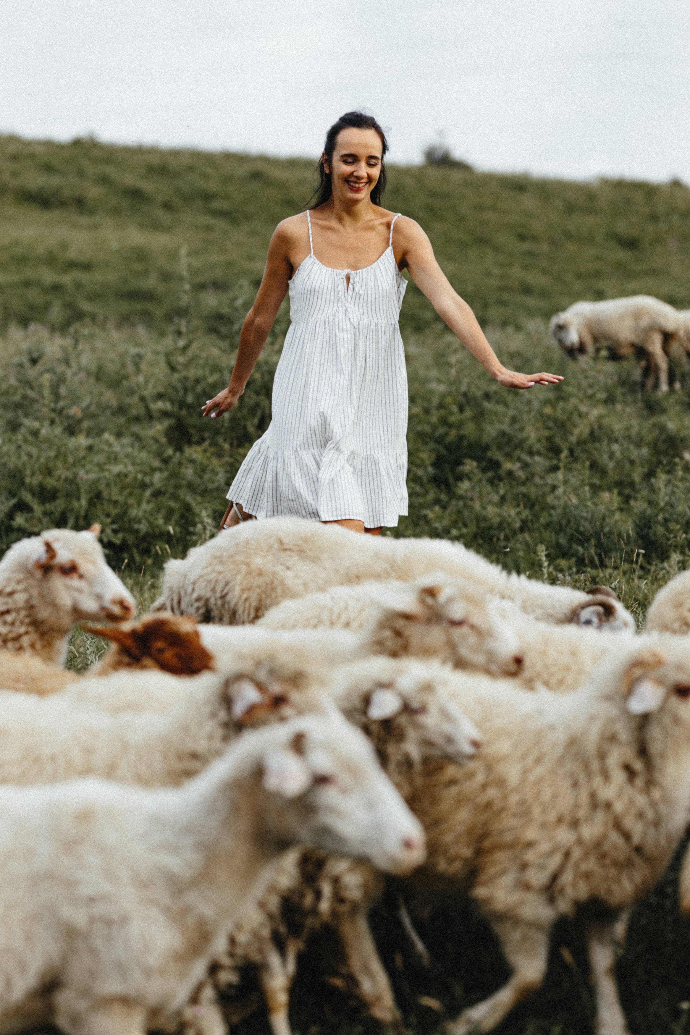 Sheeps. Aliaksandr Shyshko is a wedding and family photographer in Georgia and