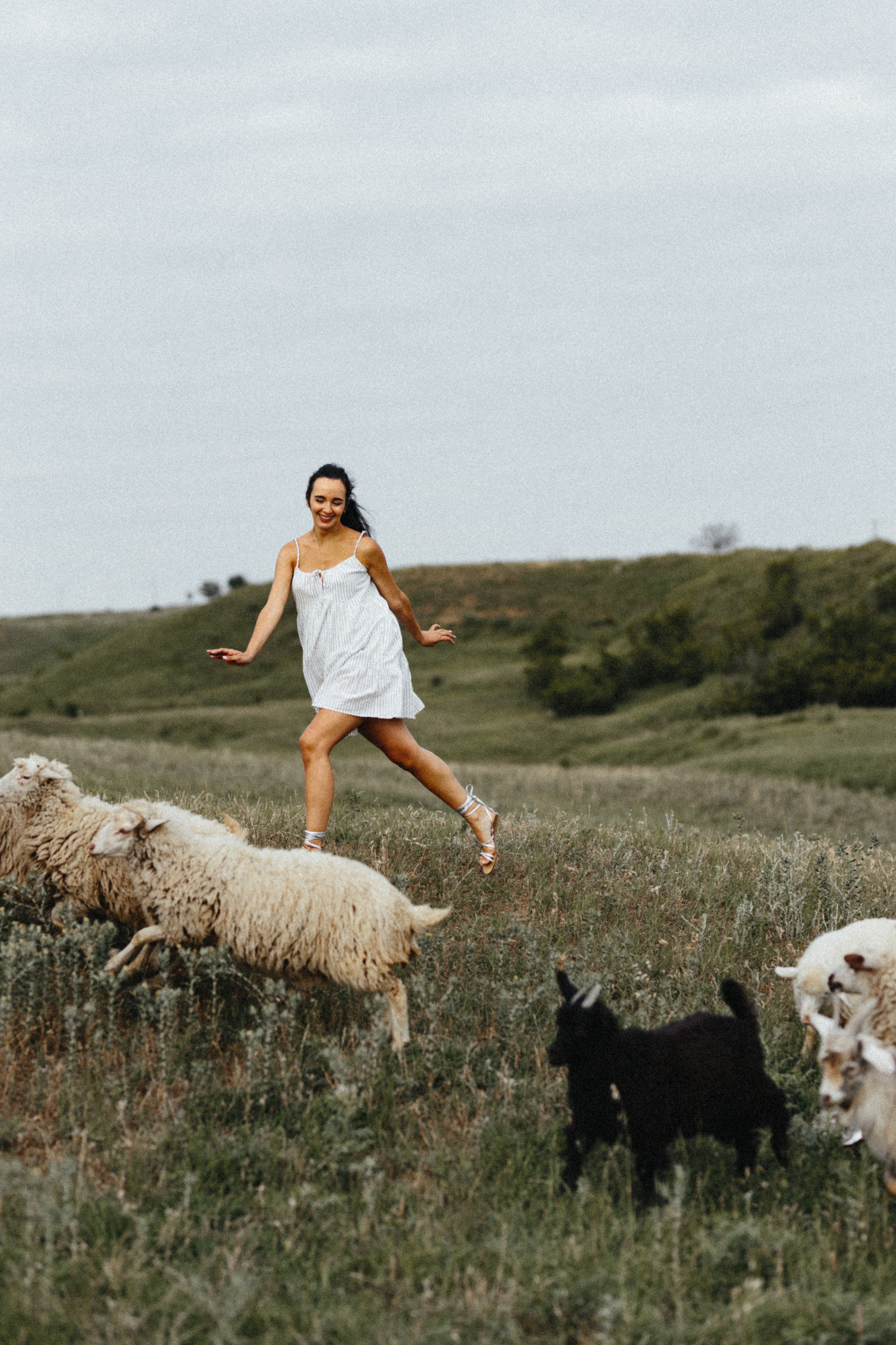 Sheeps. Aliaksandr Shyshko is a wedding and family photographer in Georgia and