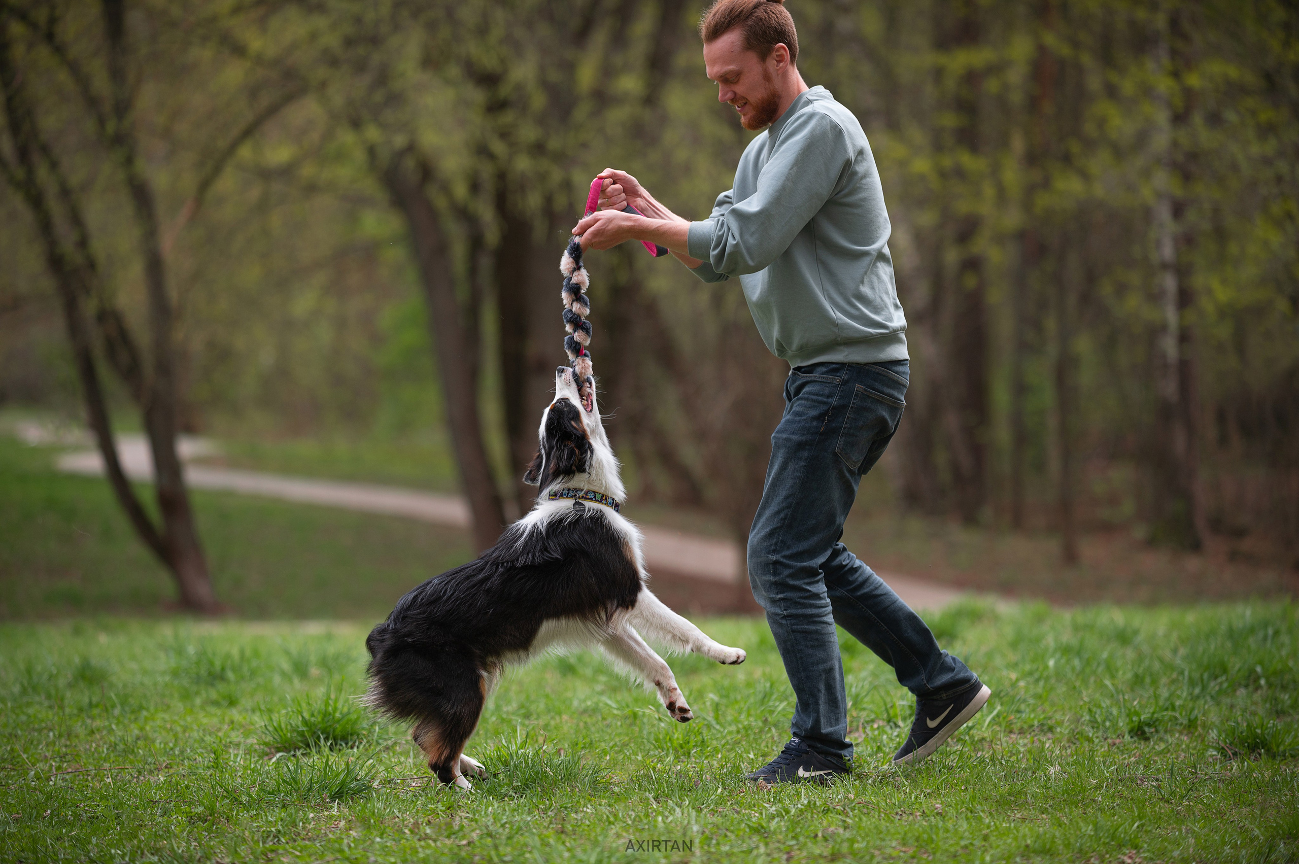 Ива. BLGKV питомник собак