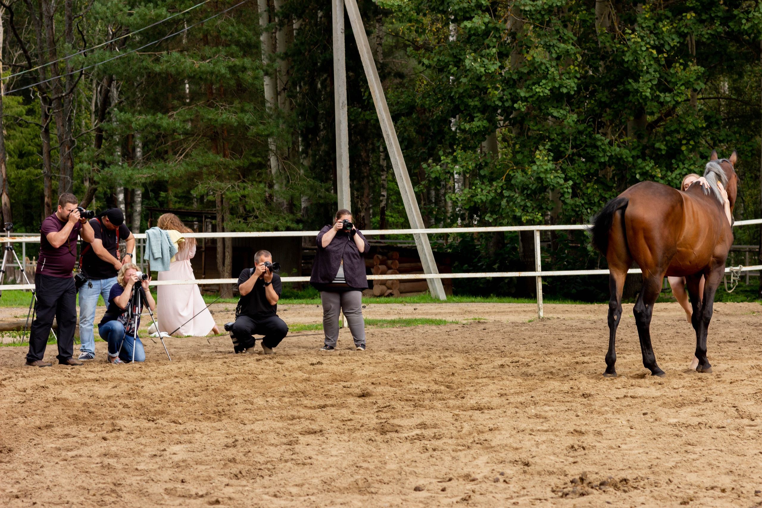 Фотошкола. Фото курсы для взрослых с нуля. Фотоискусство, студийная фотосъемка курс. фотошкола Михаила Семенова. Фотограф, фотопроекты Михаила Семенова в Ярославле. Фотошкола