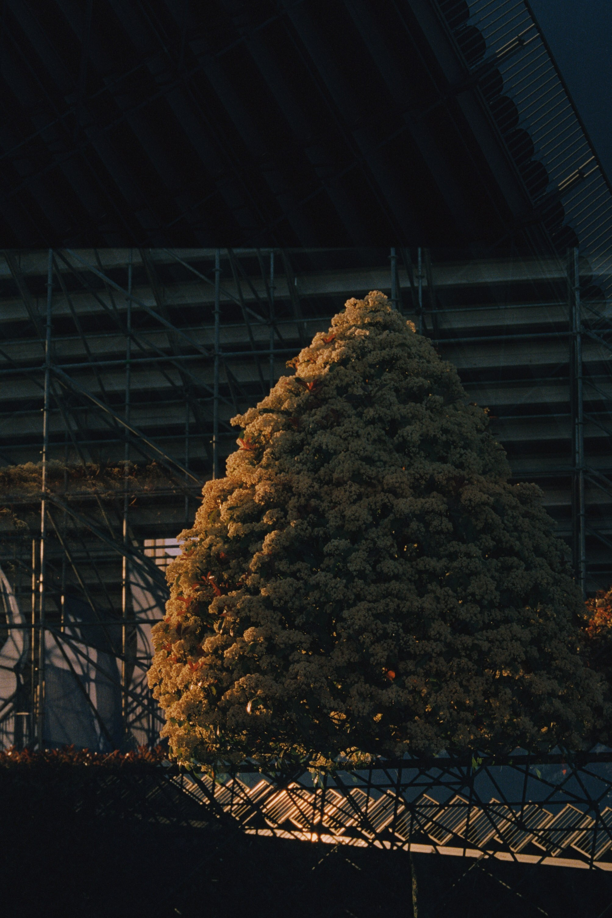 Abkhazia \ may 2023 \ film. Коммерческий Фотограф Виктор Фоменых