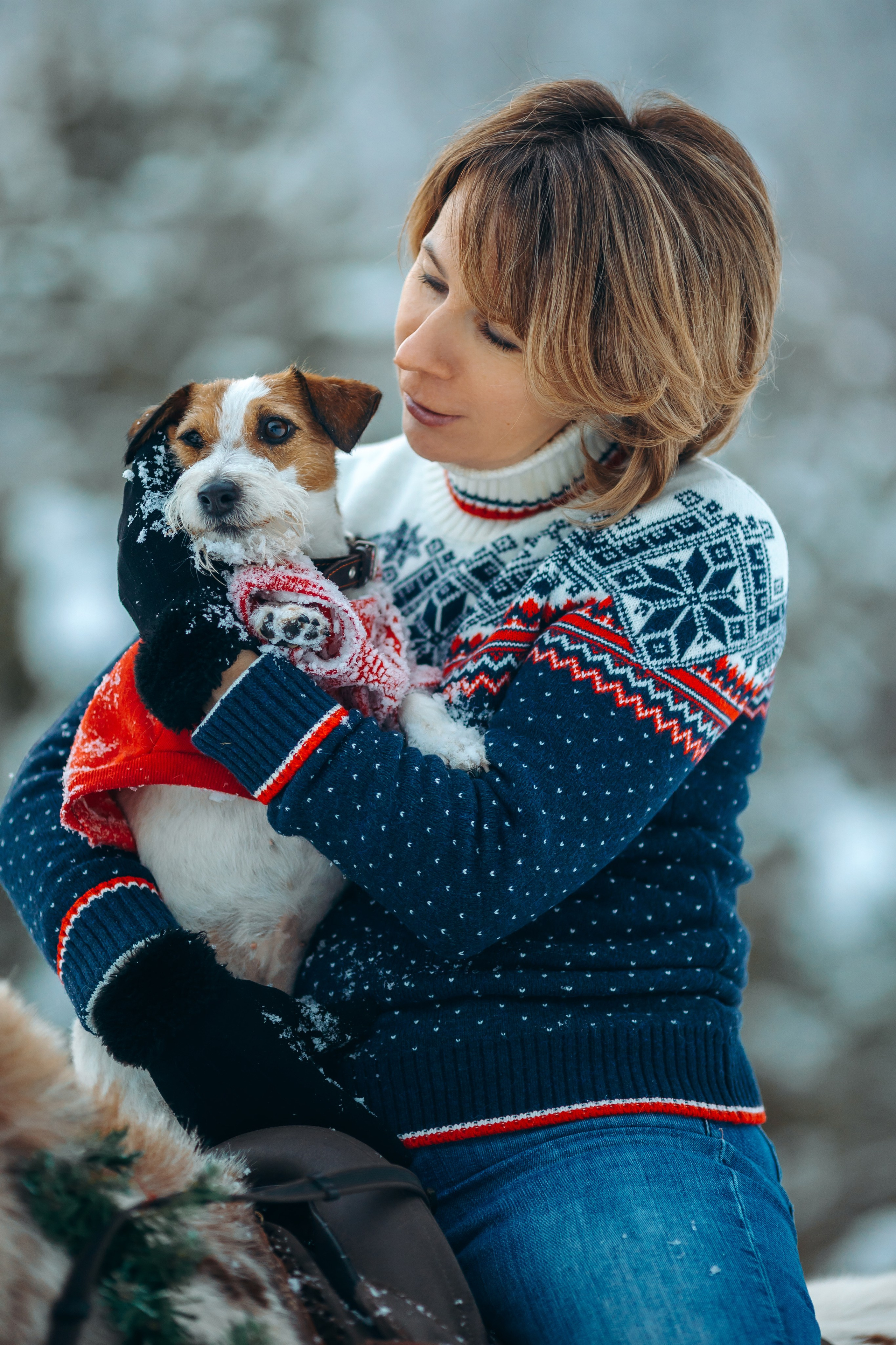 Тариф новогодний 2024. Анна Молчанова конный фотограф в Тюмени | фотосессии с лошадьми Тюмень