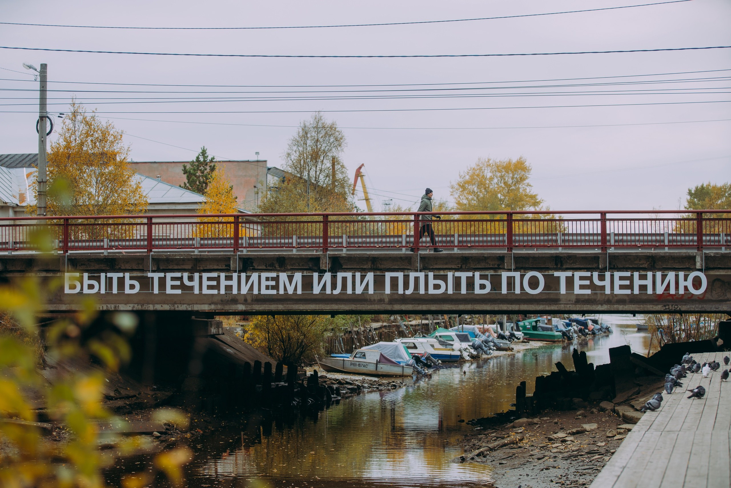 Интервью с Ильей Мозги