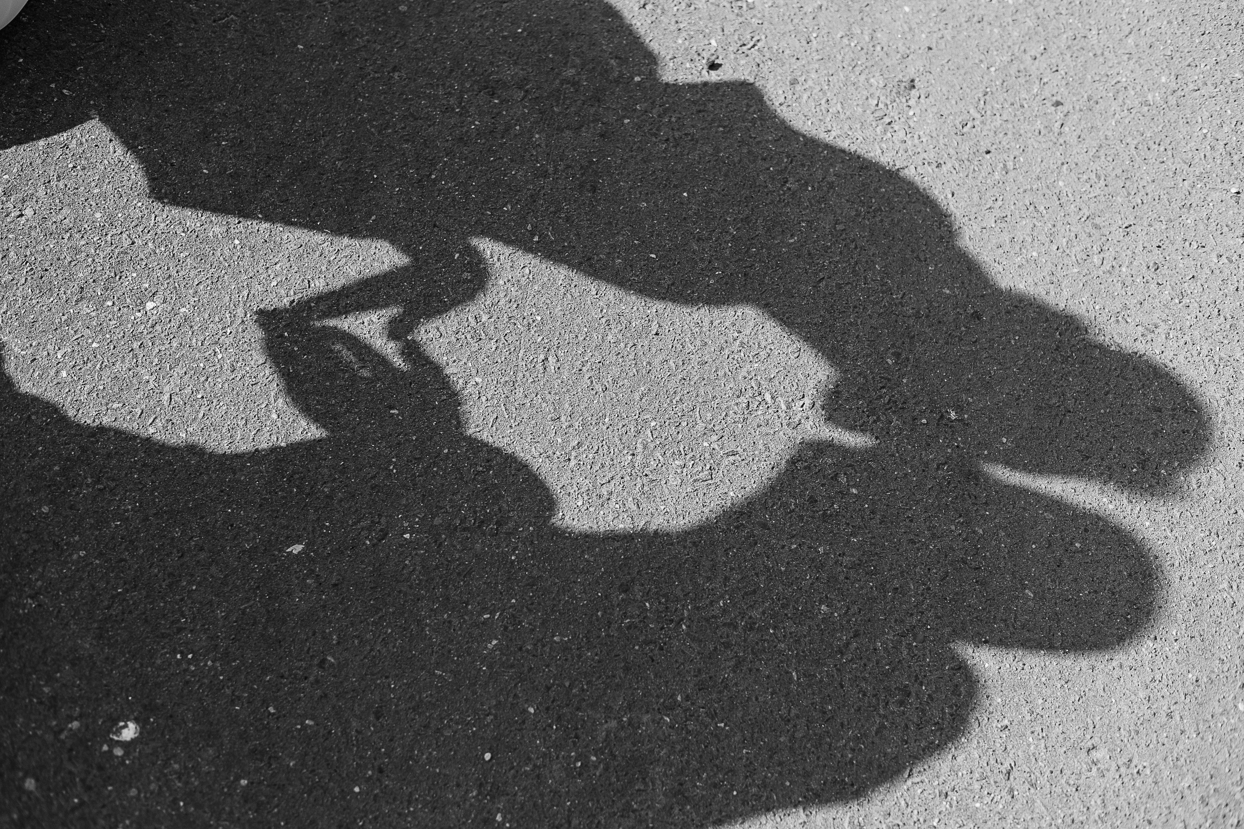 Свадебная съемка (1). Свадебный и семейный фотограф в Твери и Тверской области