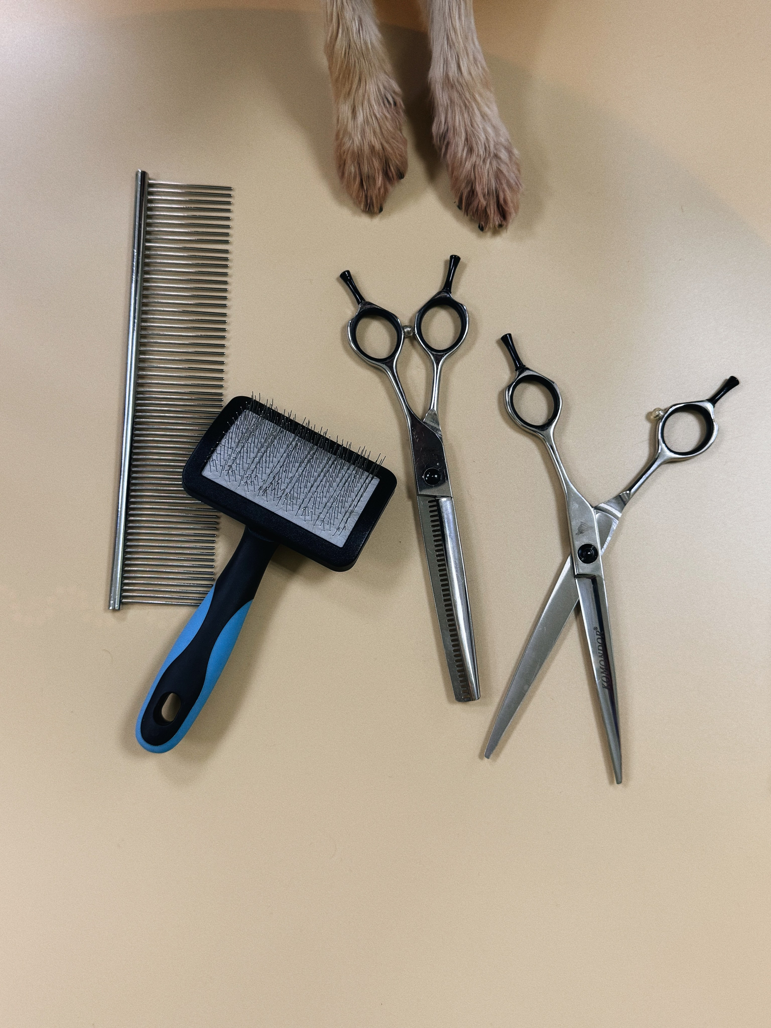 КОНТЕНТ. Креативный фотограф Ксения Семенова Курган