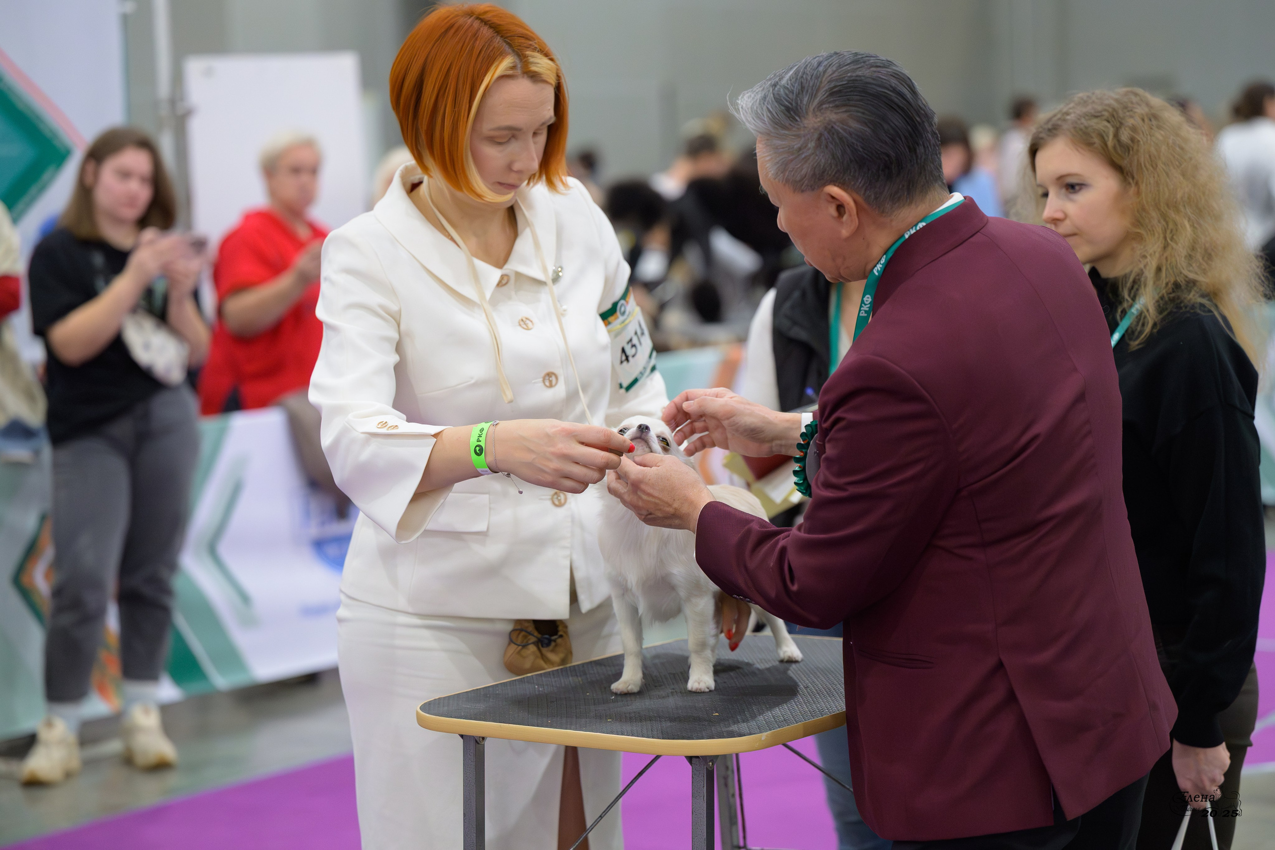 15-16.11.2025 ЕВРАЗИЯ г. Москва. Фотограф анималист Елена Галдина г. Красноярск