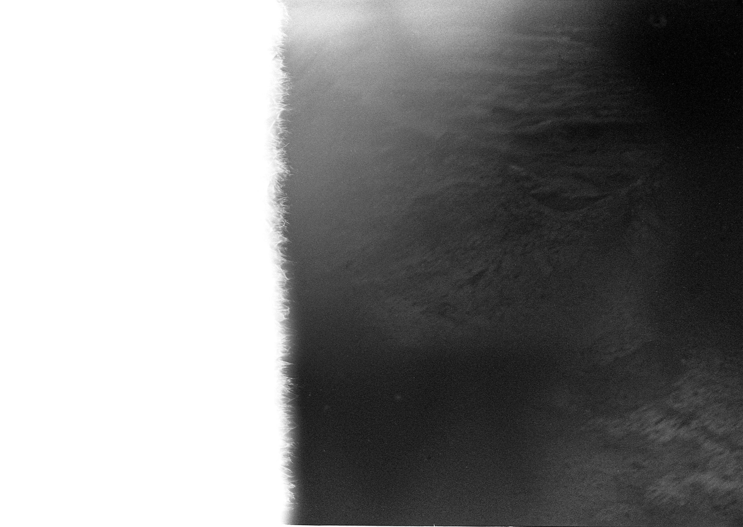 INTERVIEW WITH THE ARTIST: YOSHIKATSU FUJII. Самоорганизация Низина