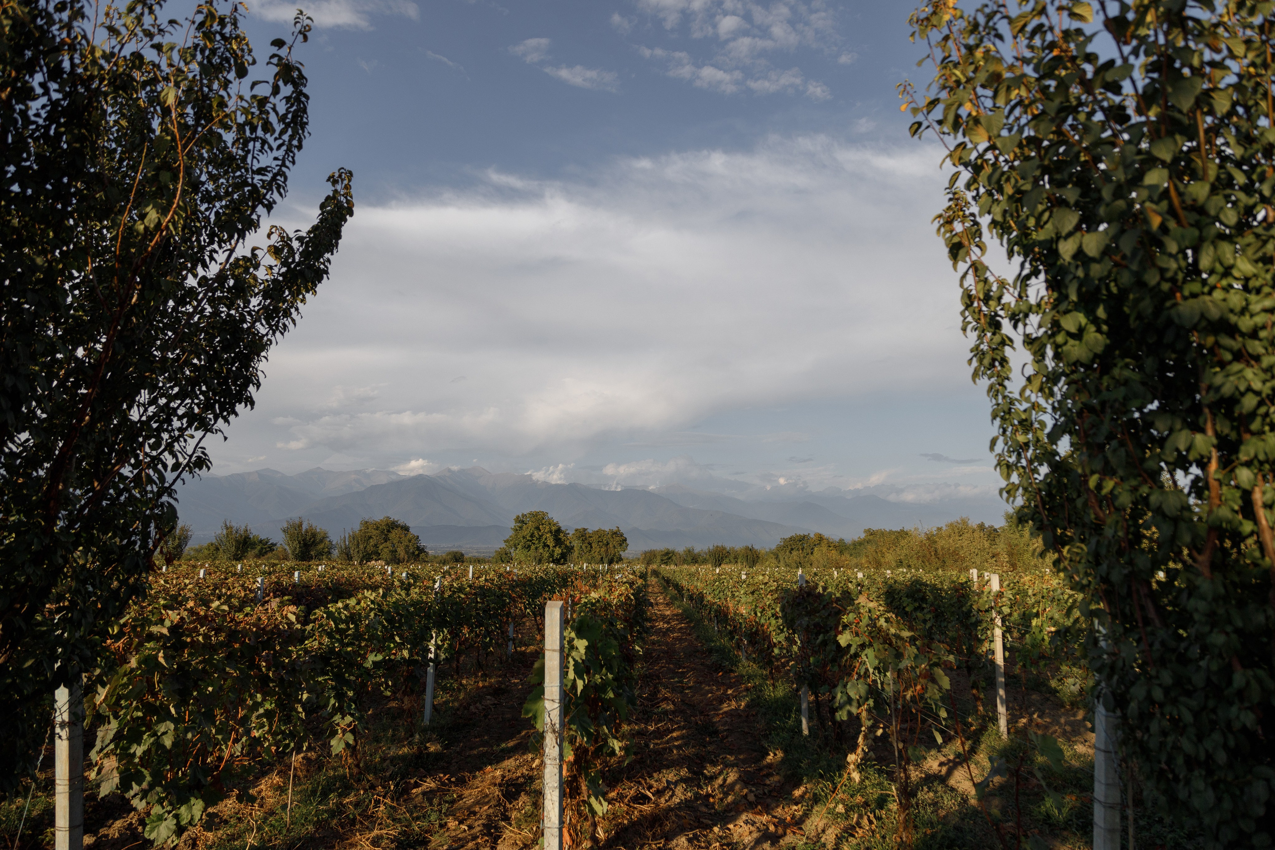 Интересные места Кахетии