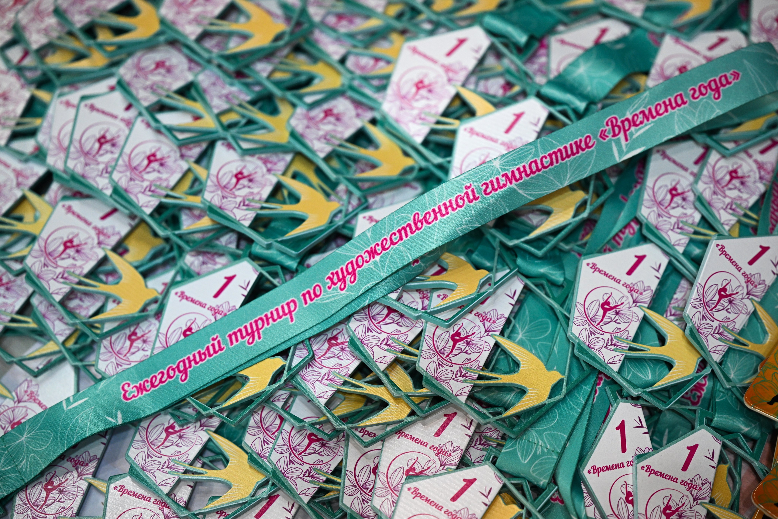 Открытый турнир Раменского городского округа по художественной гимнастике ВРЕМЕНА ГОДА Борисоглебск. ФОТОВИДЕОСПОРТ. Фото видео услуги на соревнованиях по художественной гимнастике. Видеотрансляция соревнований. Москва, ЦФО, ПФО