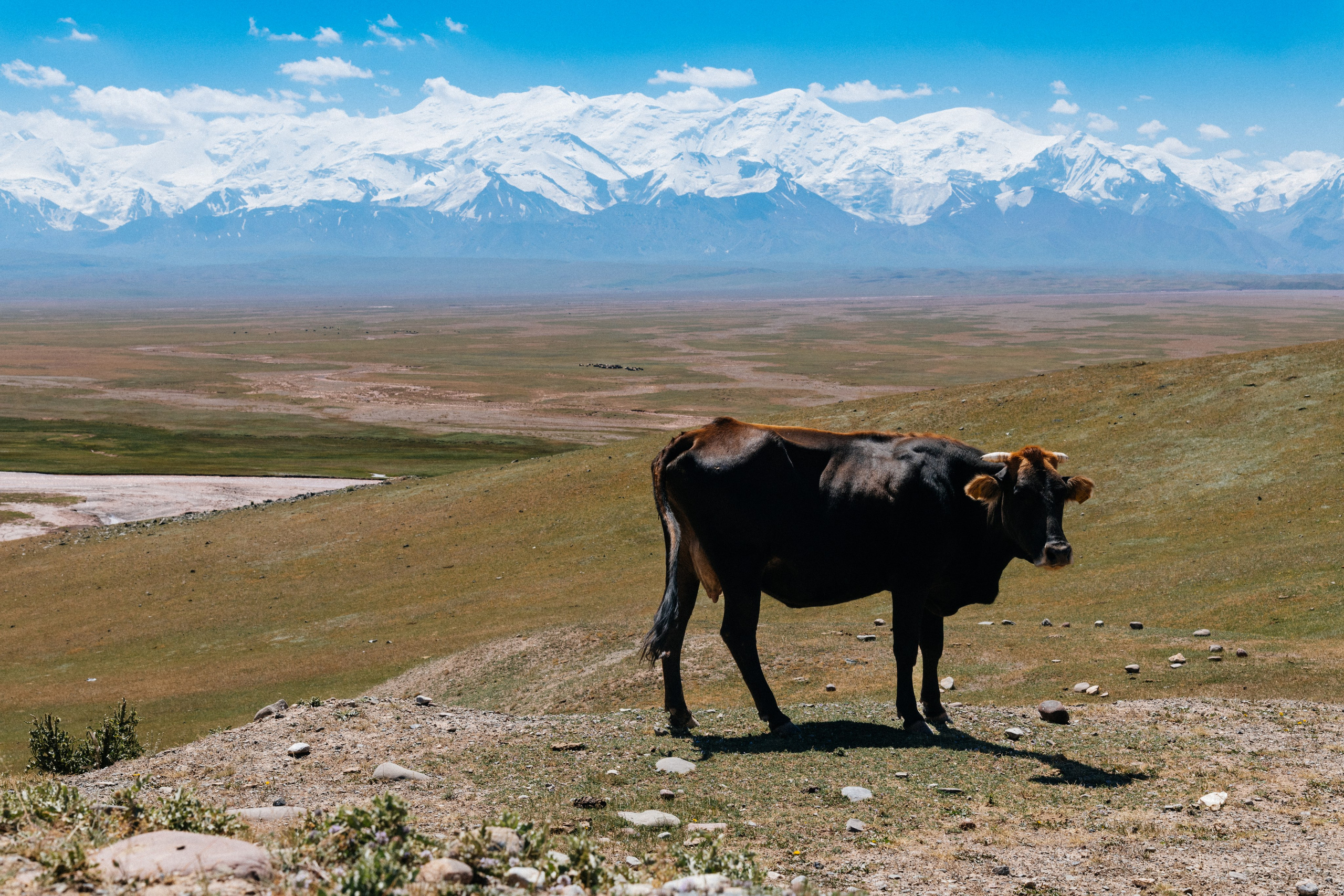 Средняя Азия подборка. Роман Свободный — интерьерная и архитектурная съёмка, Москва и МО