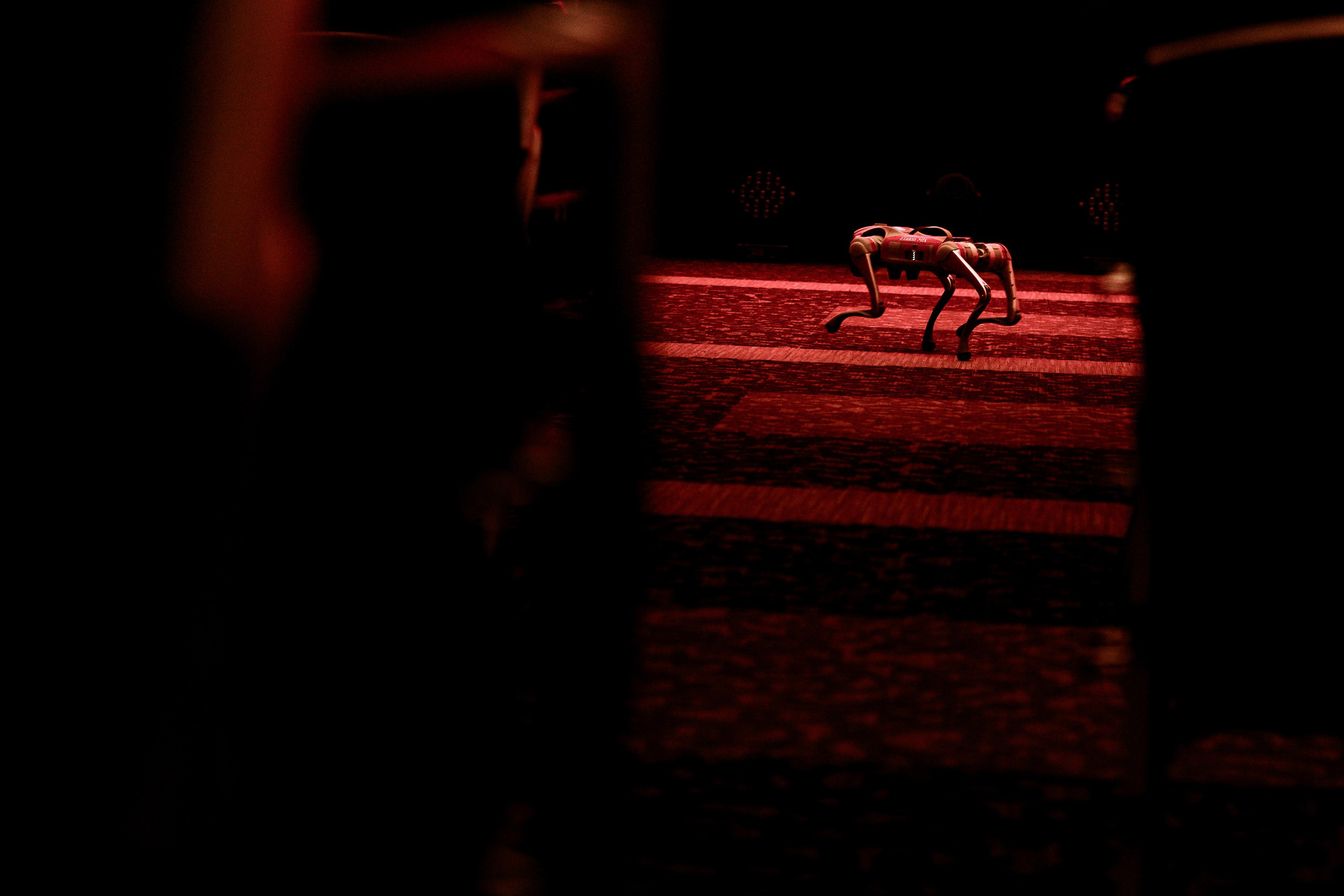 Репортажный фотограф Пенза. VERSLIBRE | Свадебный и репортажный фотограф в Санкт-Петербурге