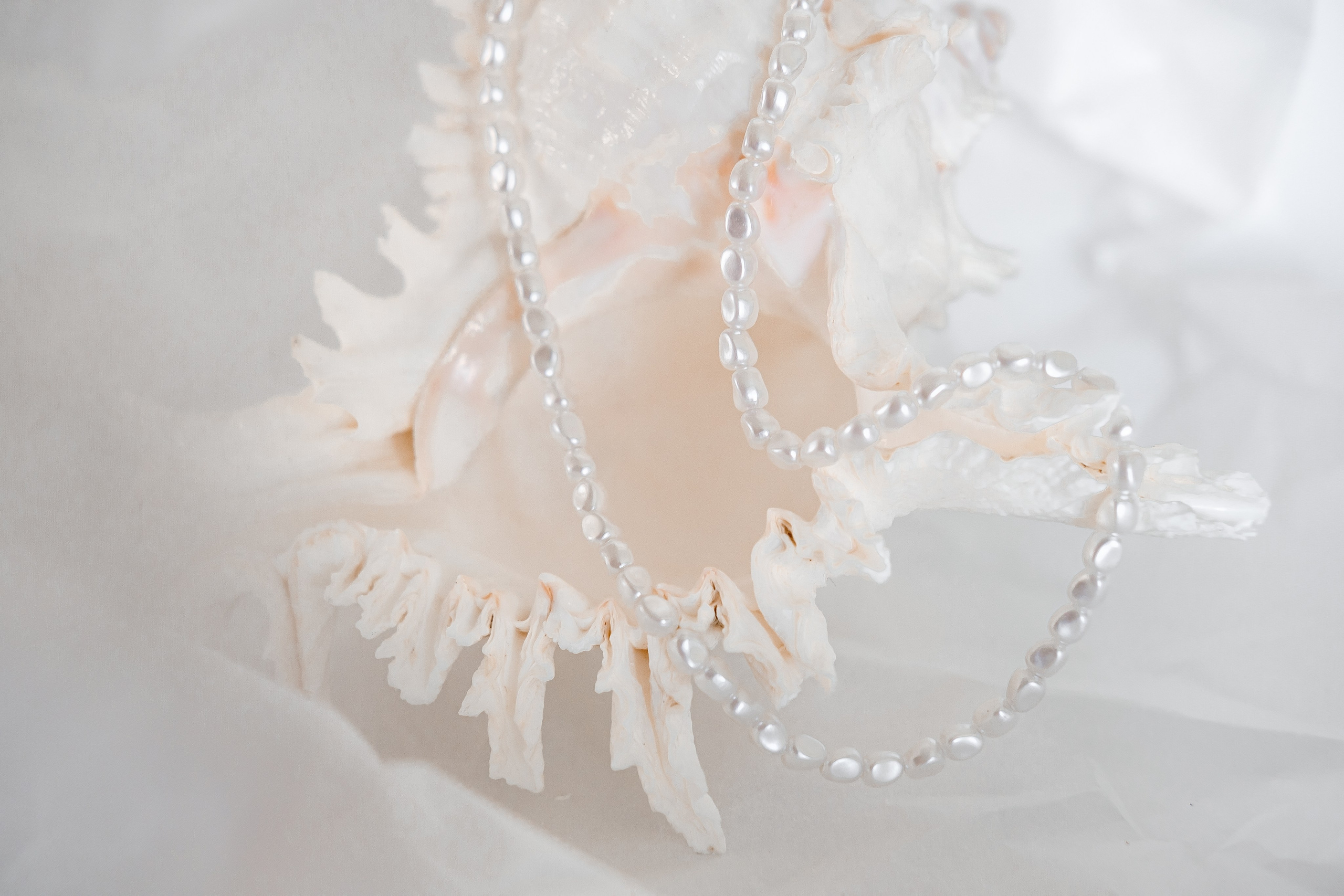 Фотосессия для маркетплейсов