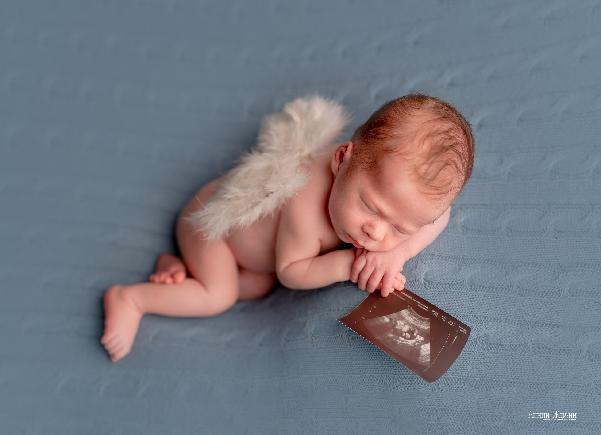 Гордей 21 день. Фотограф новорожденных в Нижнем Новгороде Сергеева Оксана