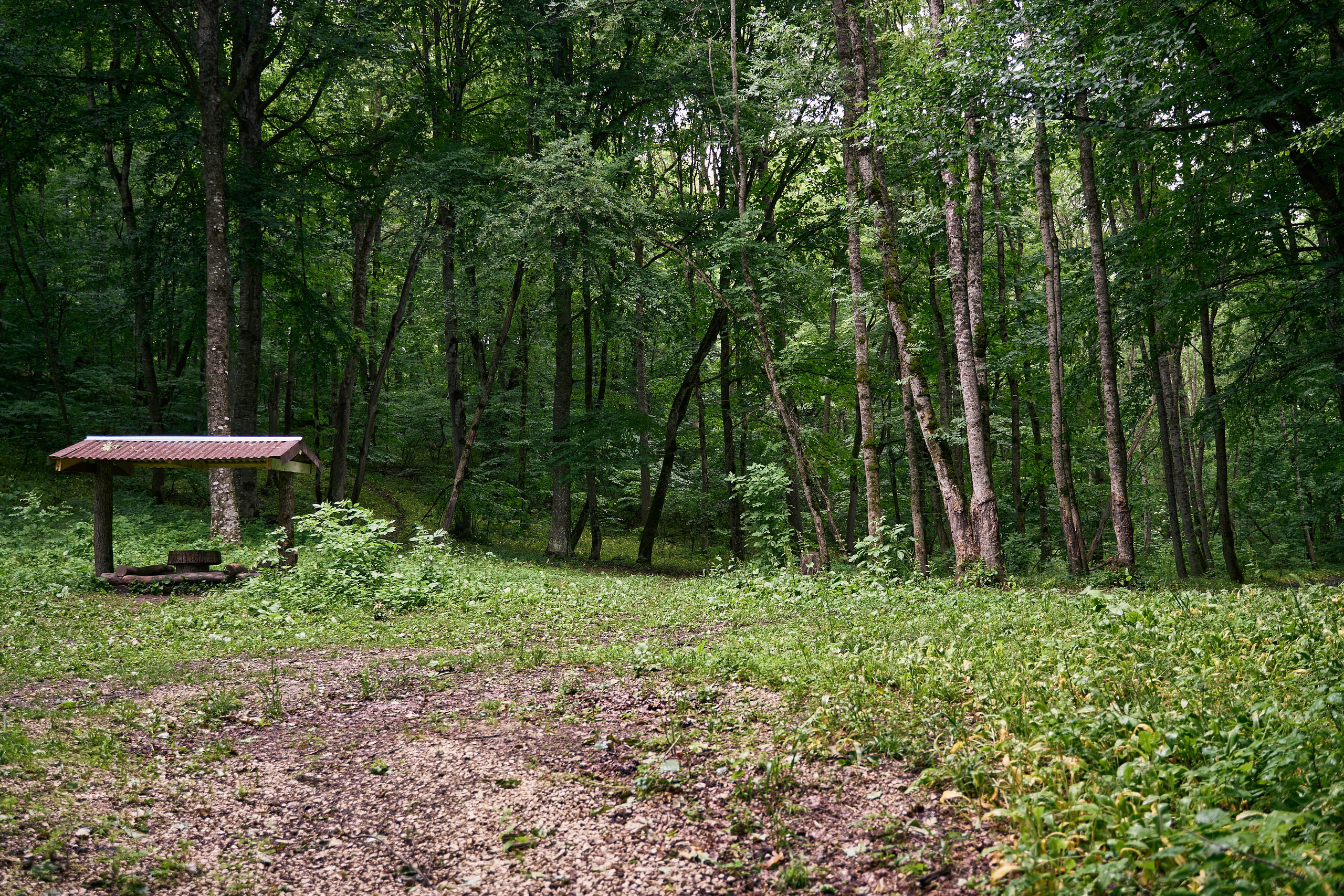 Монастырь. Петр Ступень. Свадебное, семейное фото и видео. Москва. Краснодар