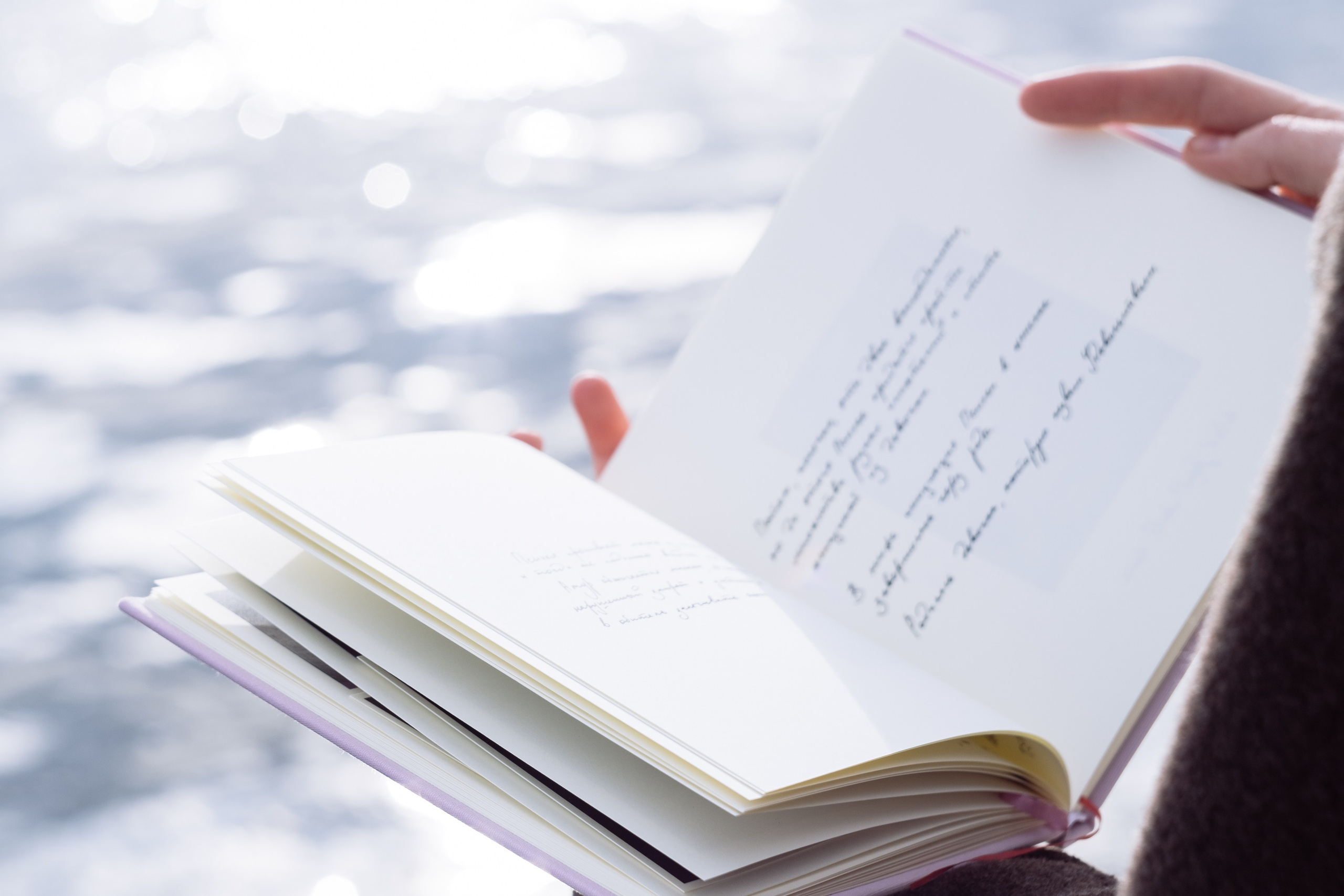 КНИГА ХУДОЖНИКА PINK WORD RED FLAG. Бюро Индульгенции Серафима Бучинская продюсер дизайнер художница СПб